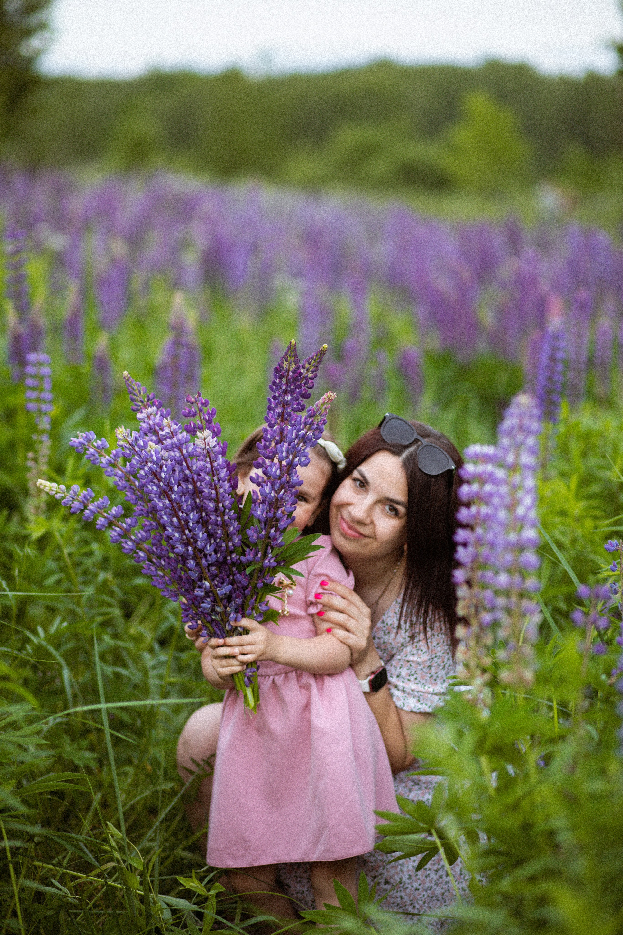 Июньские люпины. Фотограф в Москве/Санкт-Петербурге