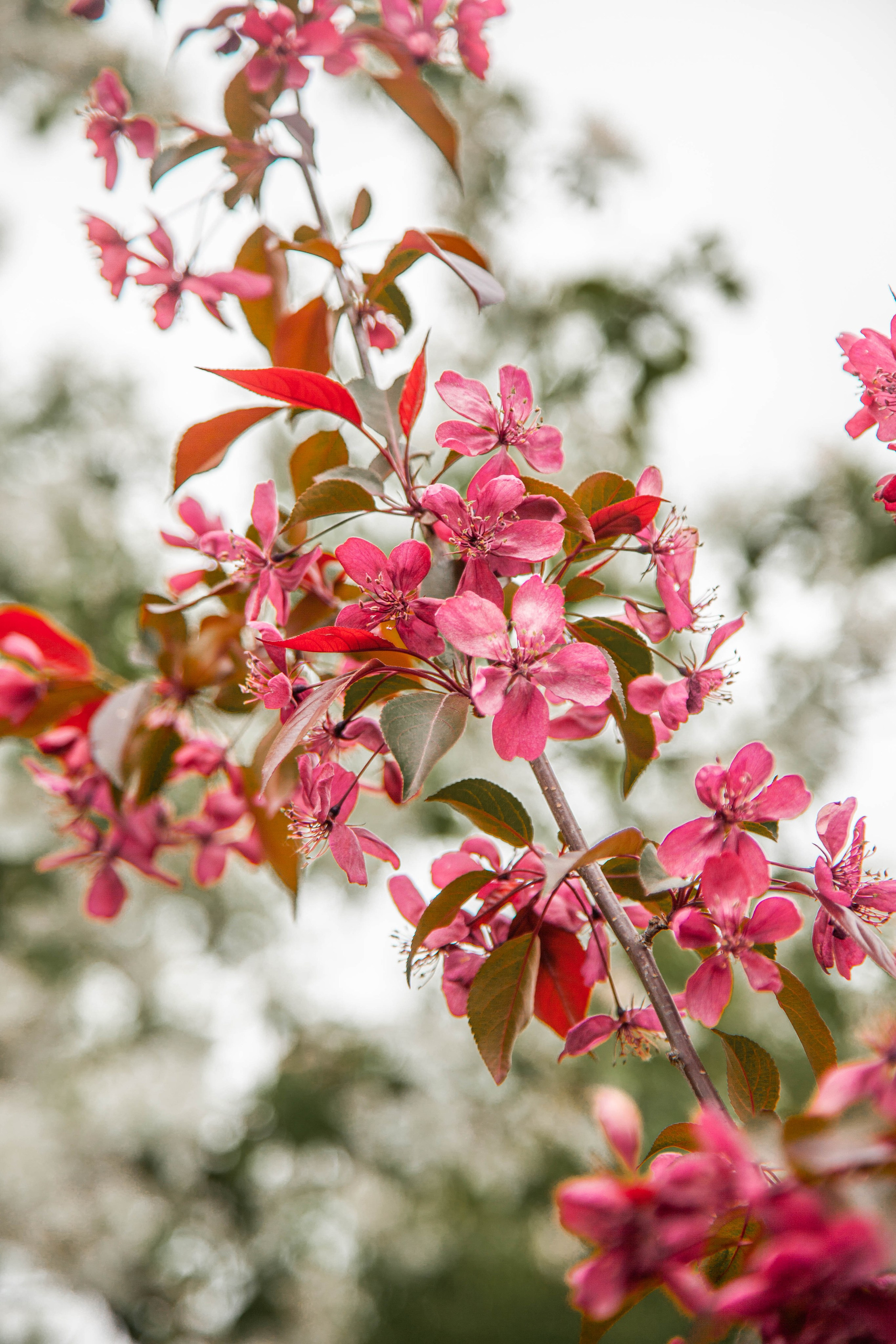 Фотосессия Екатерины «В ожидании»