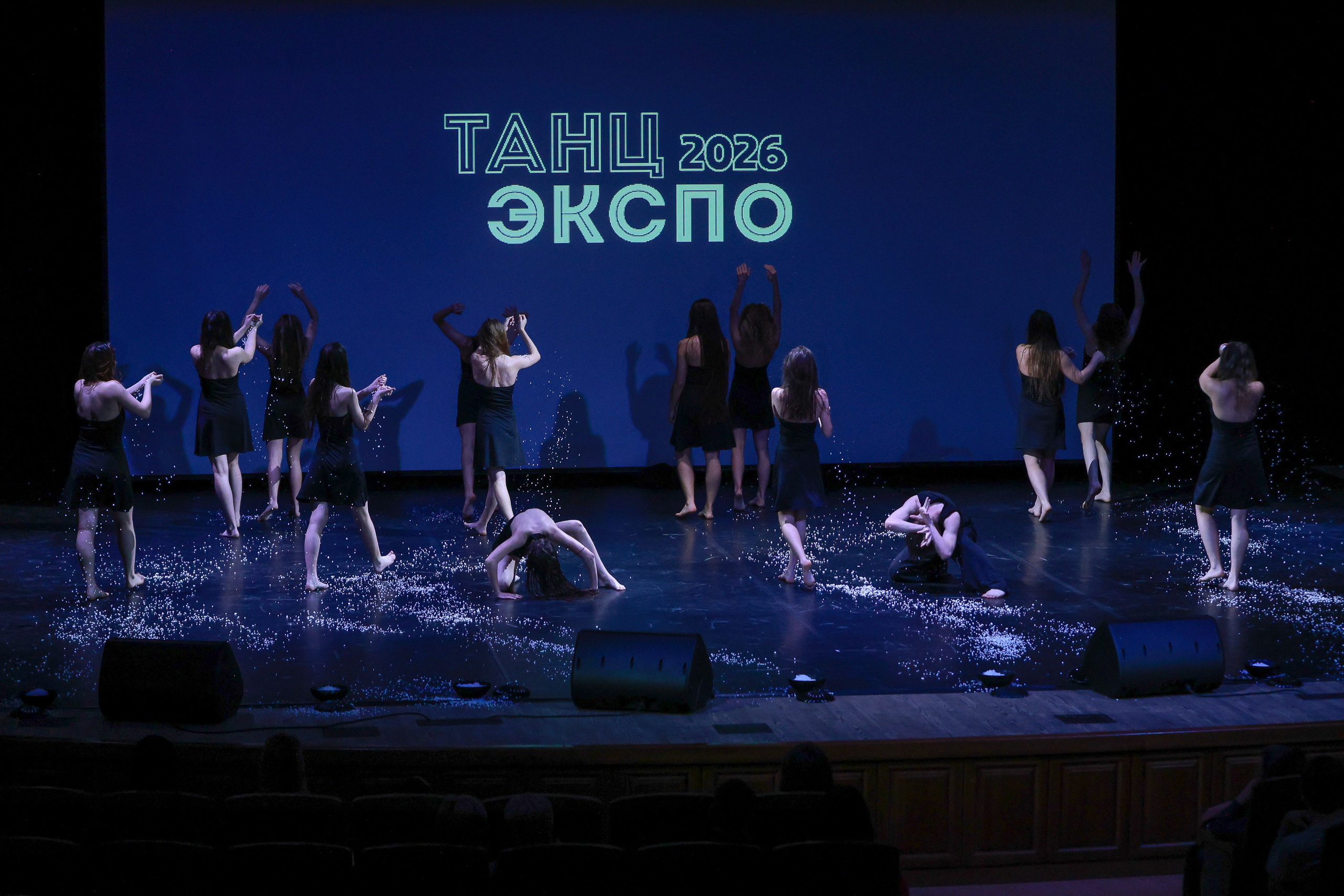Небесные ласточки на Танц ЭКСПО 2026. Фотограф Юлия Мальцева