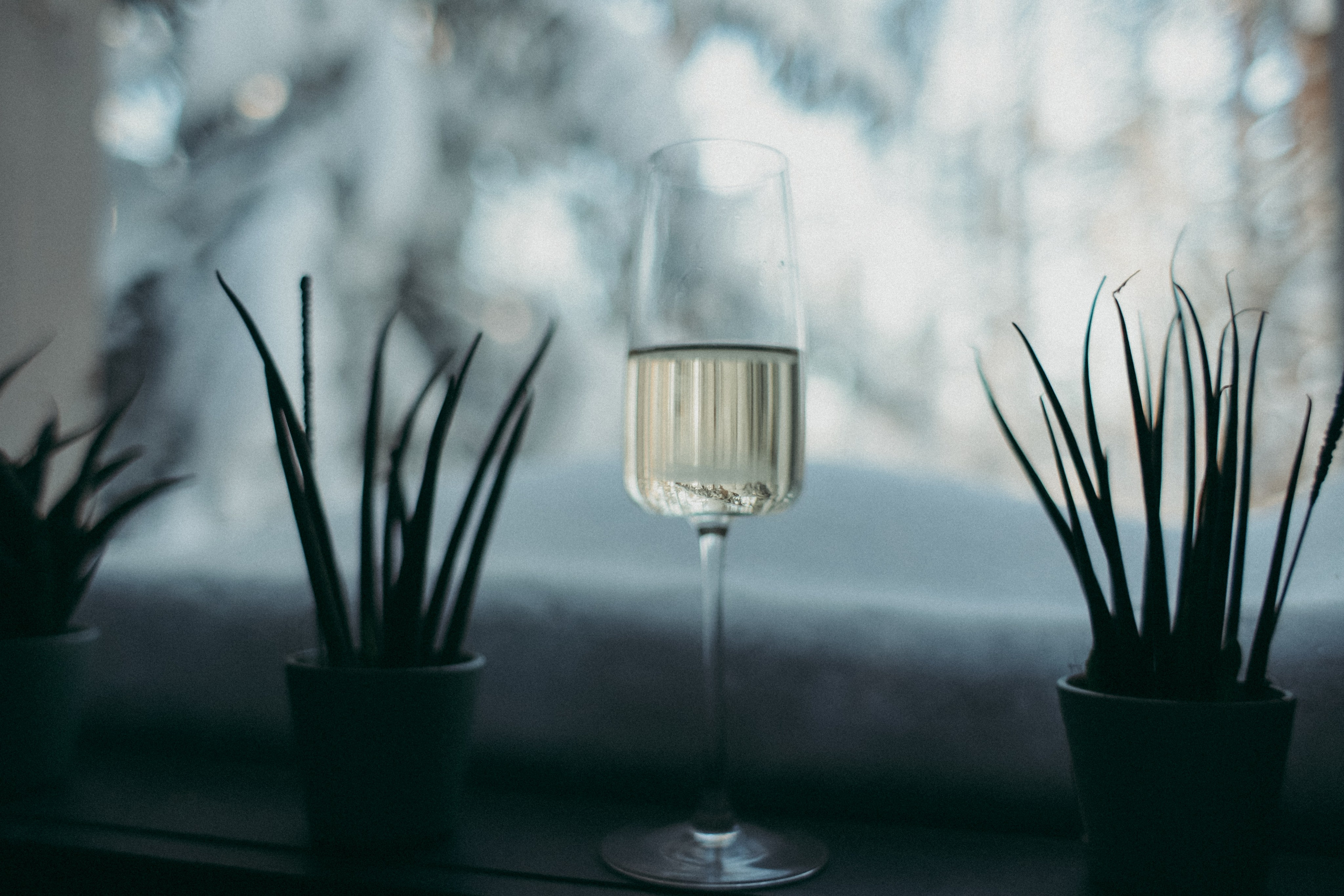 Инна и Вера. Фотограф Москва и Санкт-Петербург