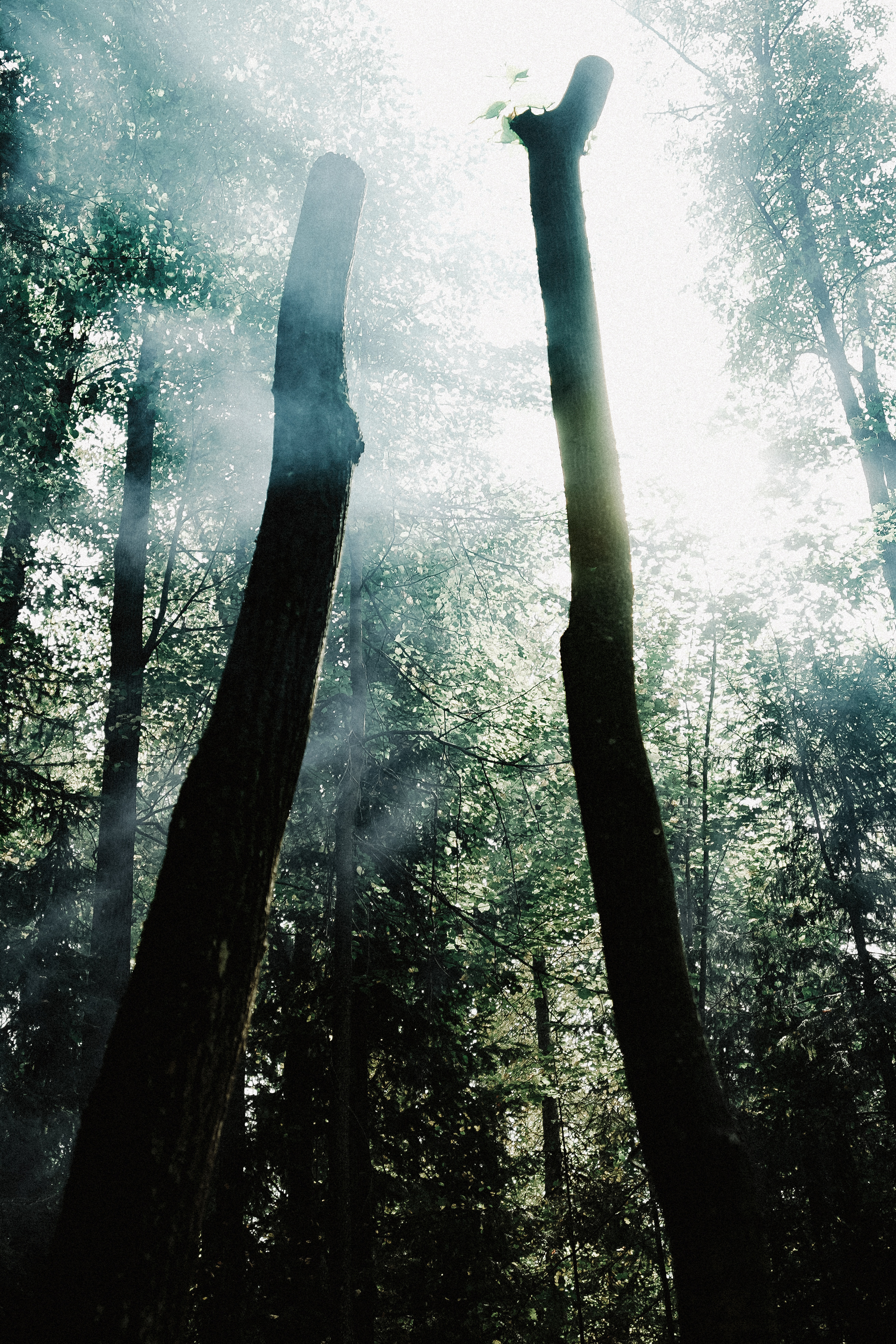 Юкки теперь с нами. Ася Краснова