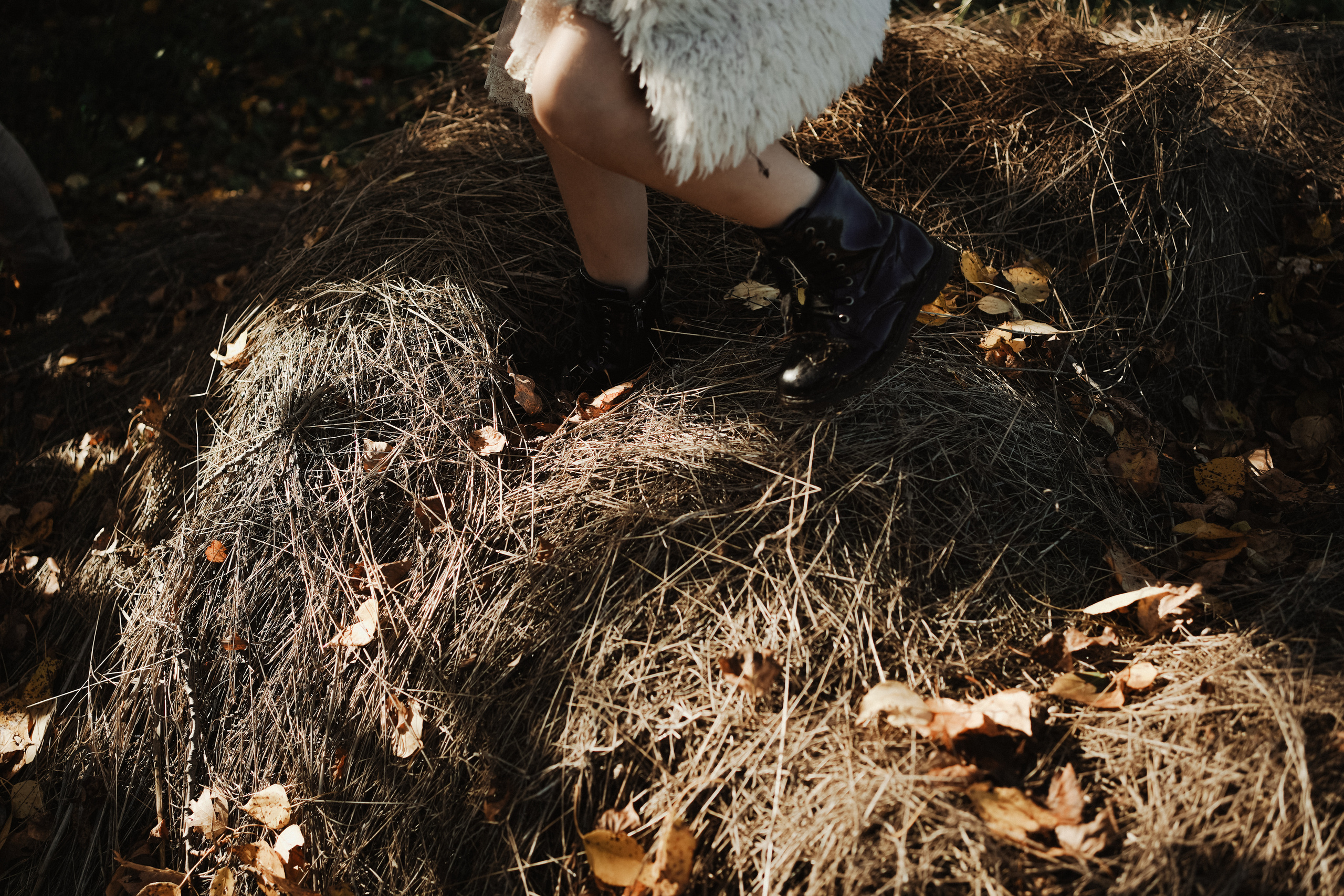 Дерево, которое растет. Ася Краснова