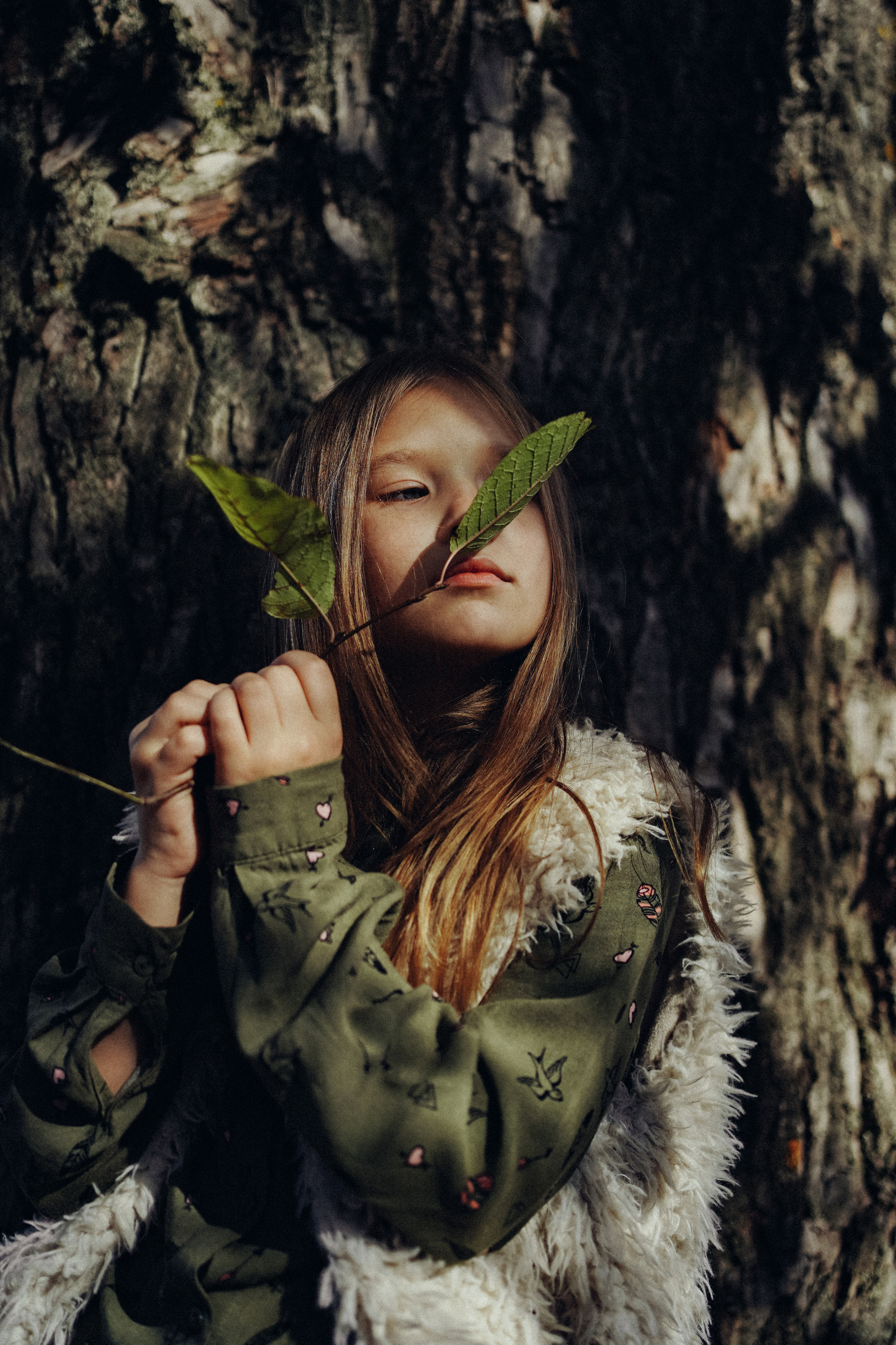 Дерево, которое растет. Ася Краснова