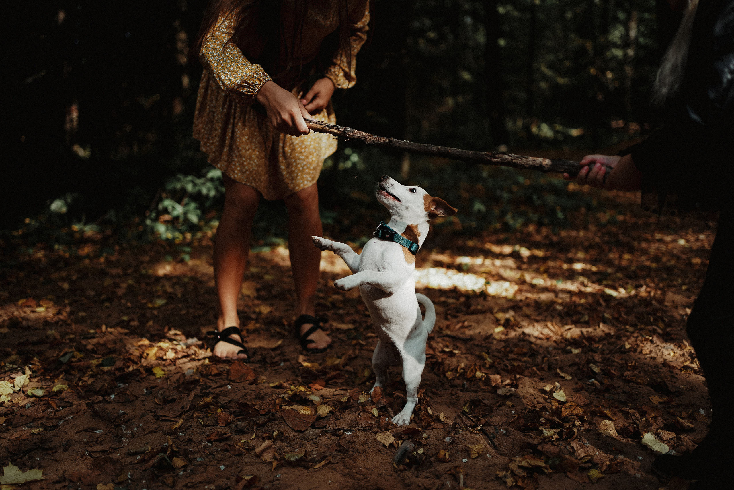 Юкки теперь с нами. Ася Краснова