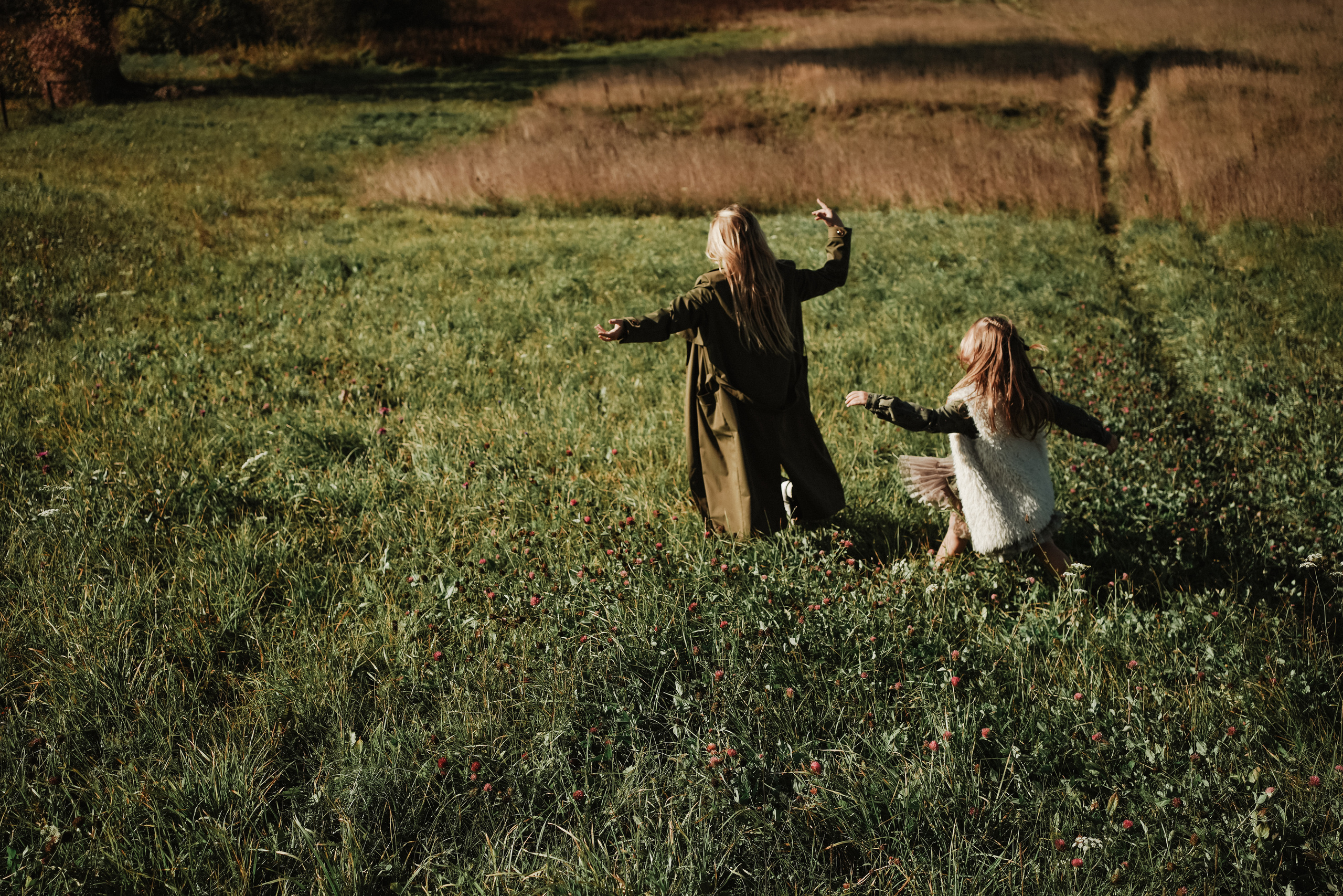 Дерево, которое растет. Ася Краснова