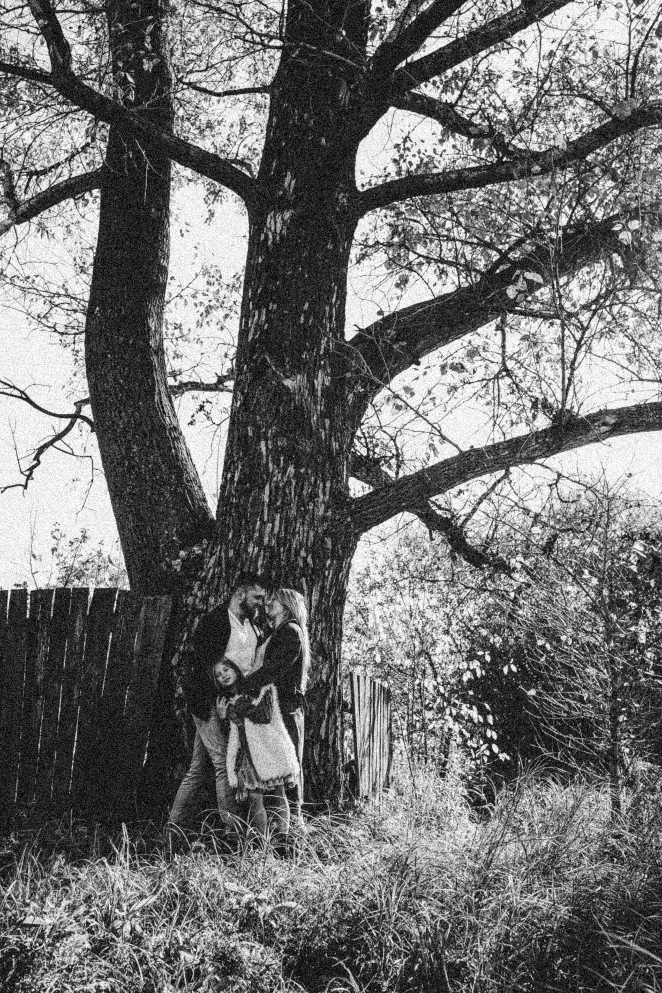 Дерево, которое растет. Ася Краснова