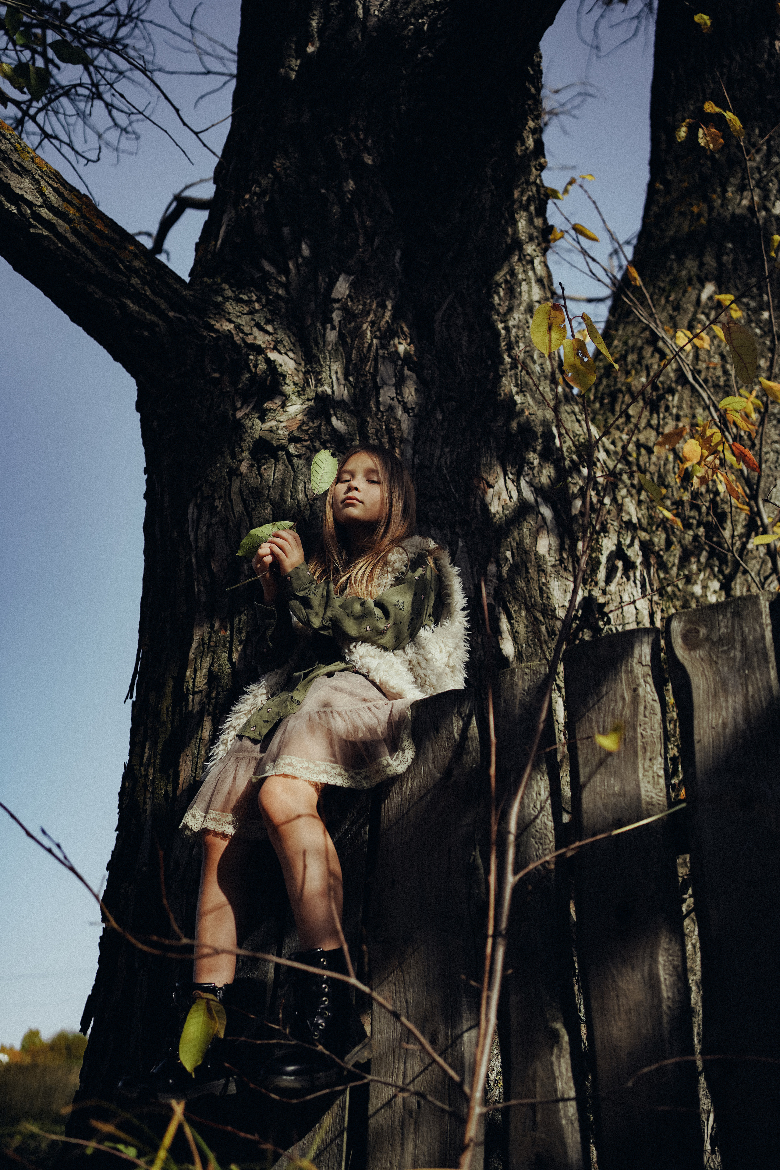 Дерево, которое растет. Ася Краснова