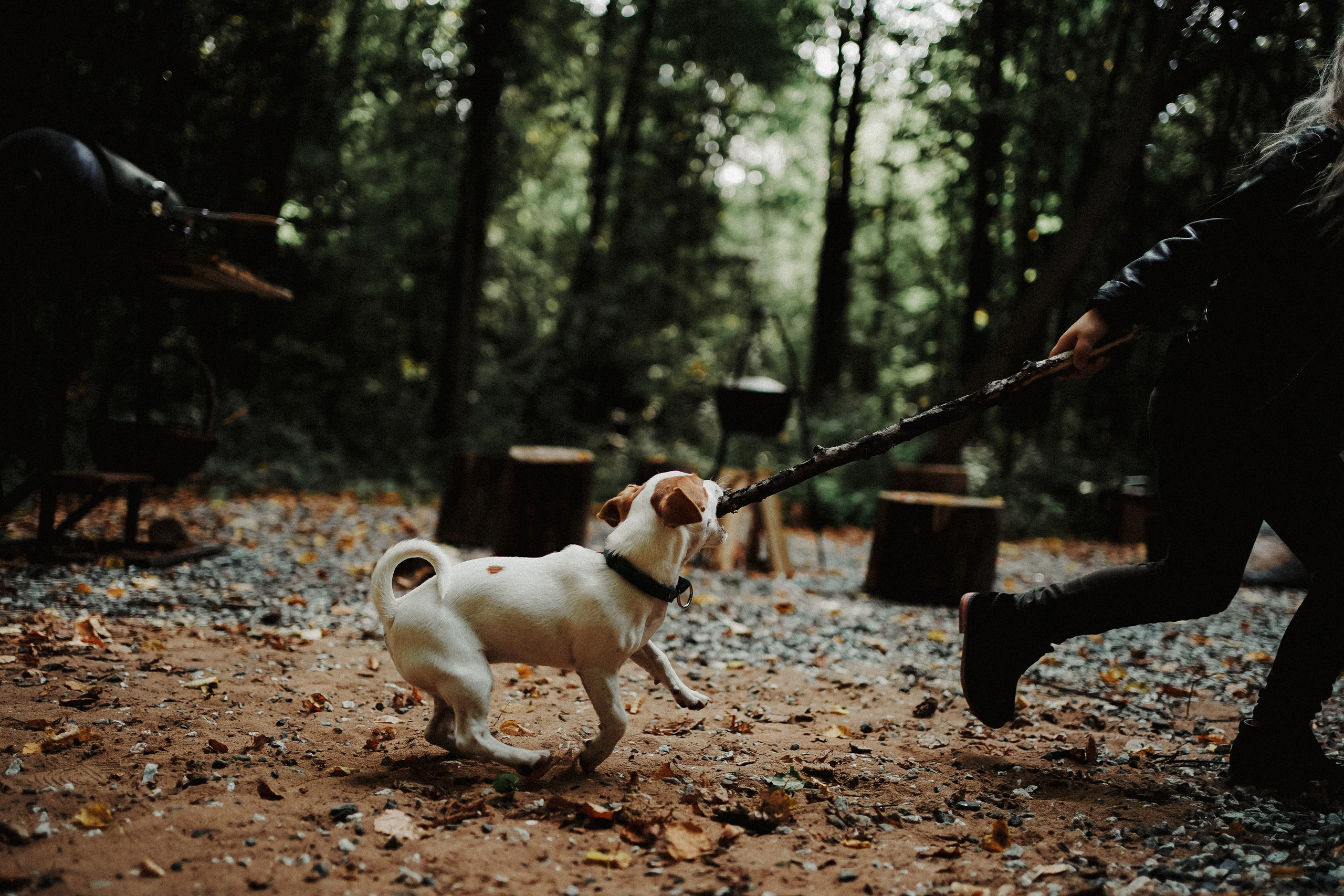 Юкки теперь с нами. Ася Краснова