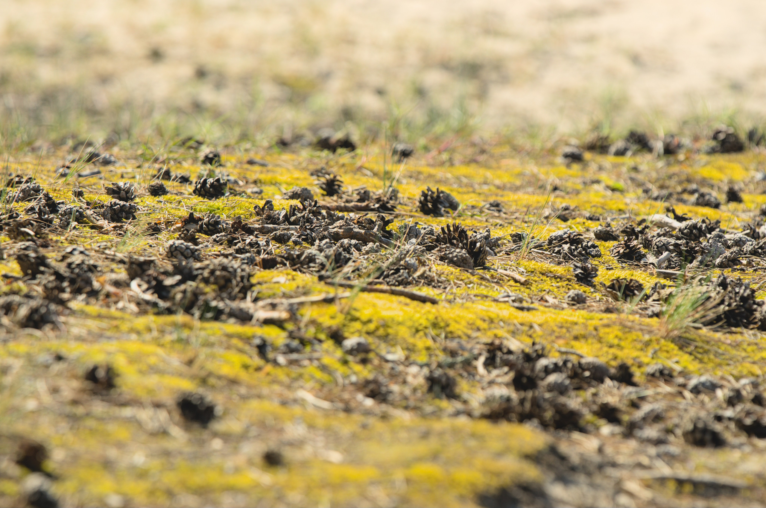 Природа. Фото детских спортивных мероприятий и всякое интересное через объектив