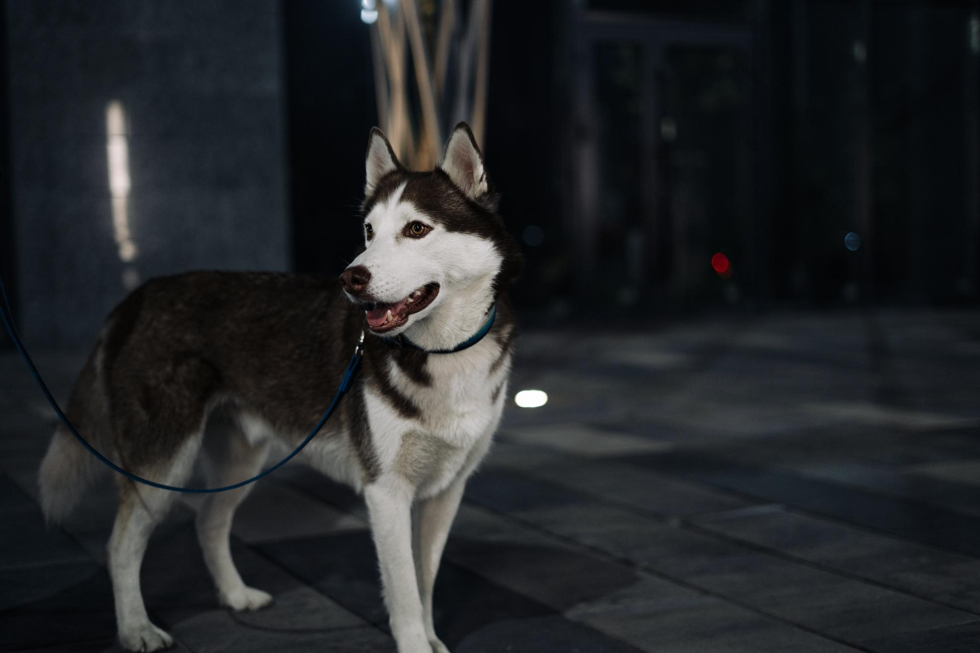 Заказать фотосъемку в Астане | BMC Photo