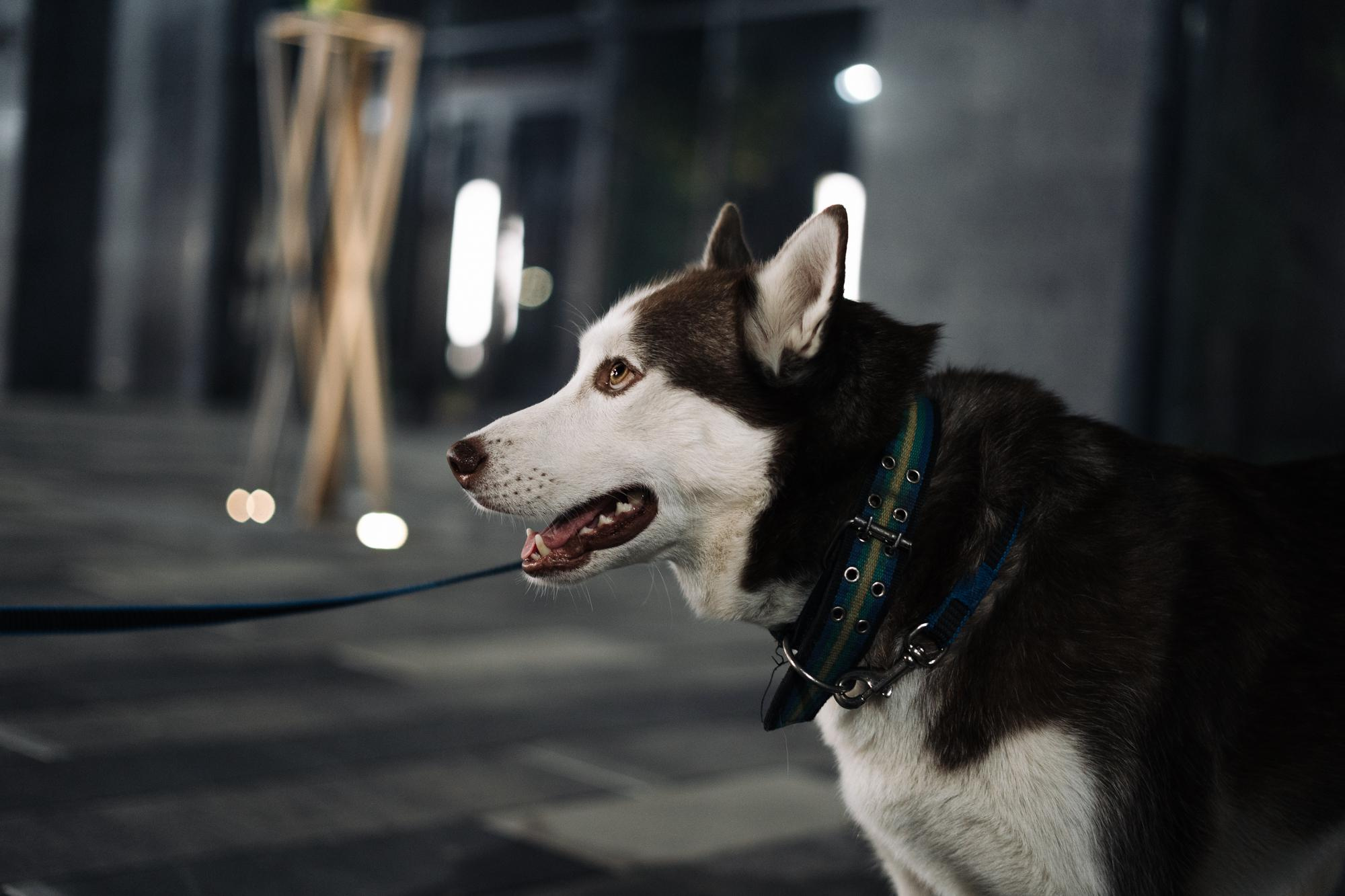 Заказать фотосъемку в Астане | BMC Photo