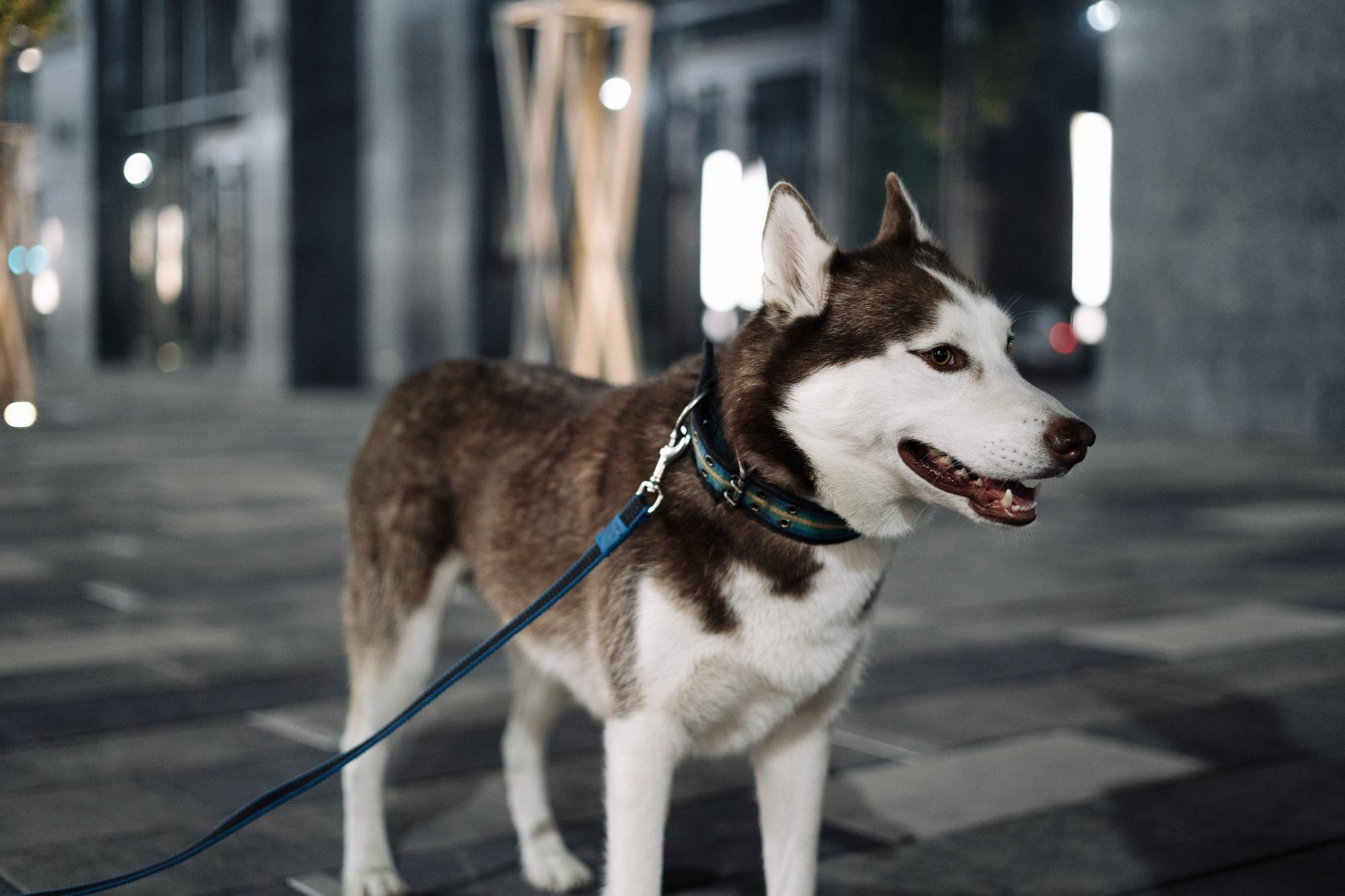 Заказать фотосъемку в Астане | BMC Photo