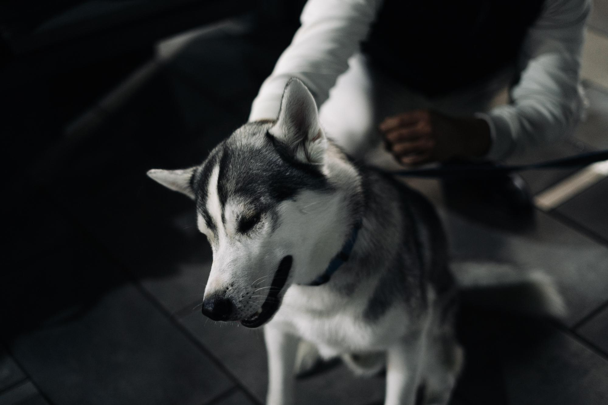 Заказать фотосъемку в Астане | BMC Photo