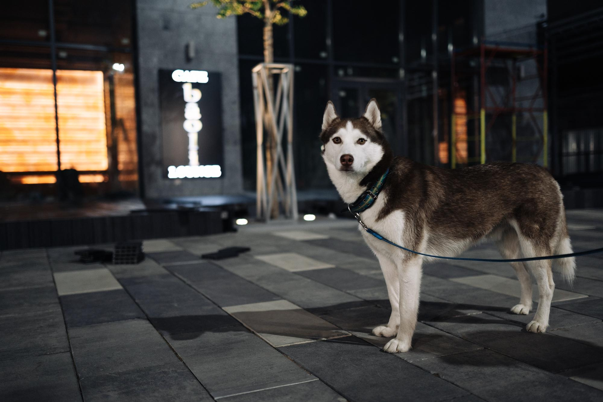 Заказать фотосъемку в Астане | BMC Photo