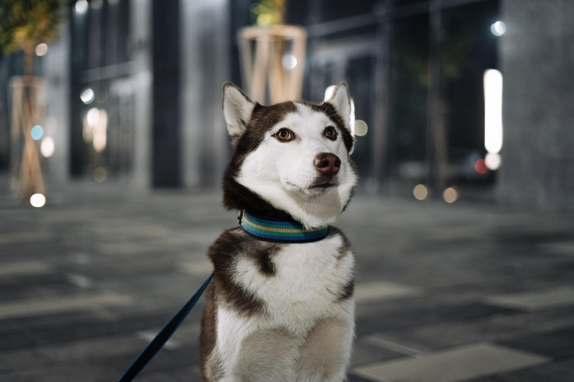 Заказать фотосъемку в Астане | BMC Photo