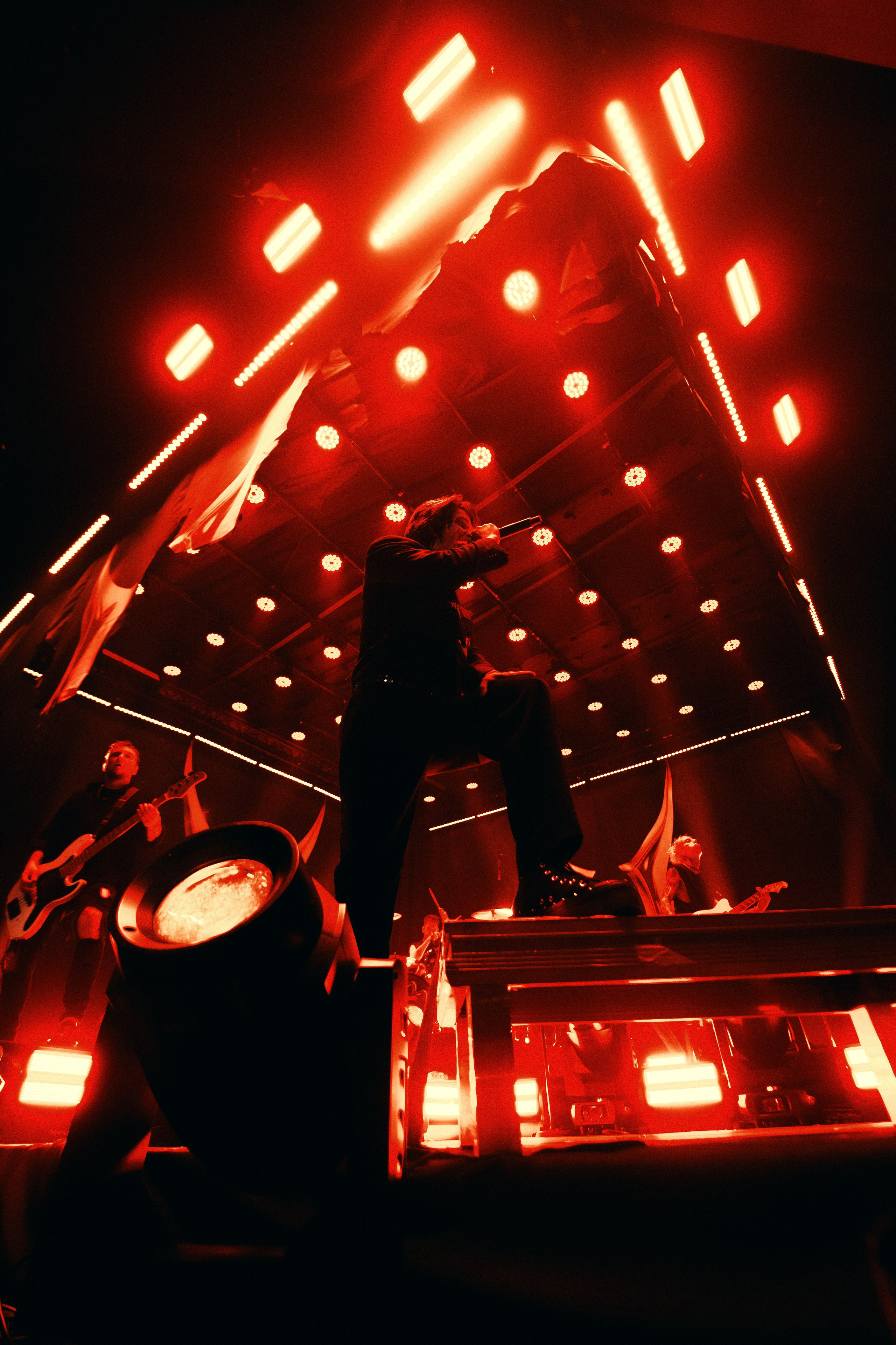 WILDWAYS. PASHAHARCE PHOTOGRAPHER & VIDEOGRAPHER