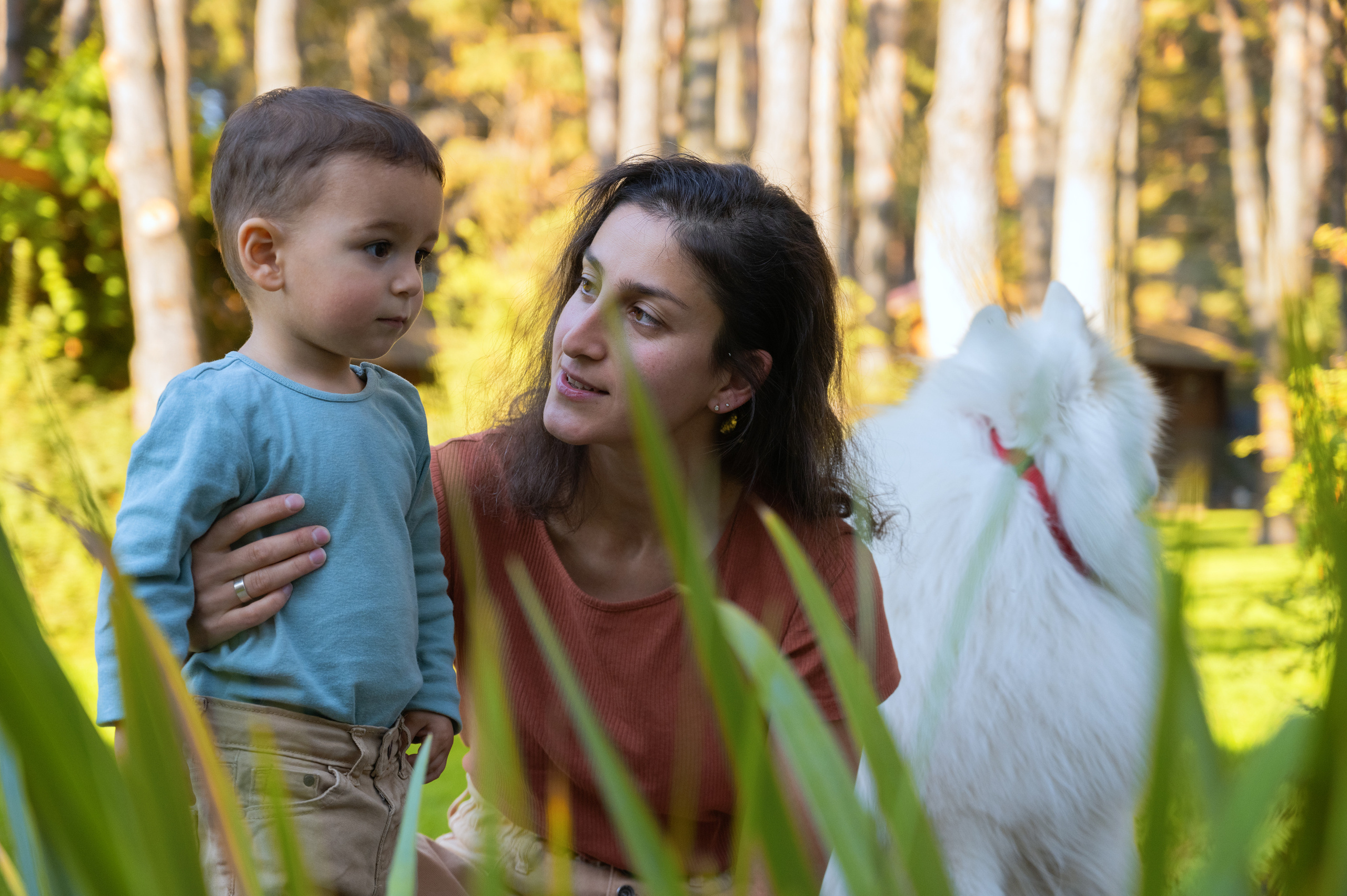 Семейная съёмка на природе с собакой