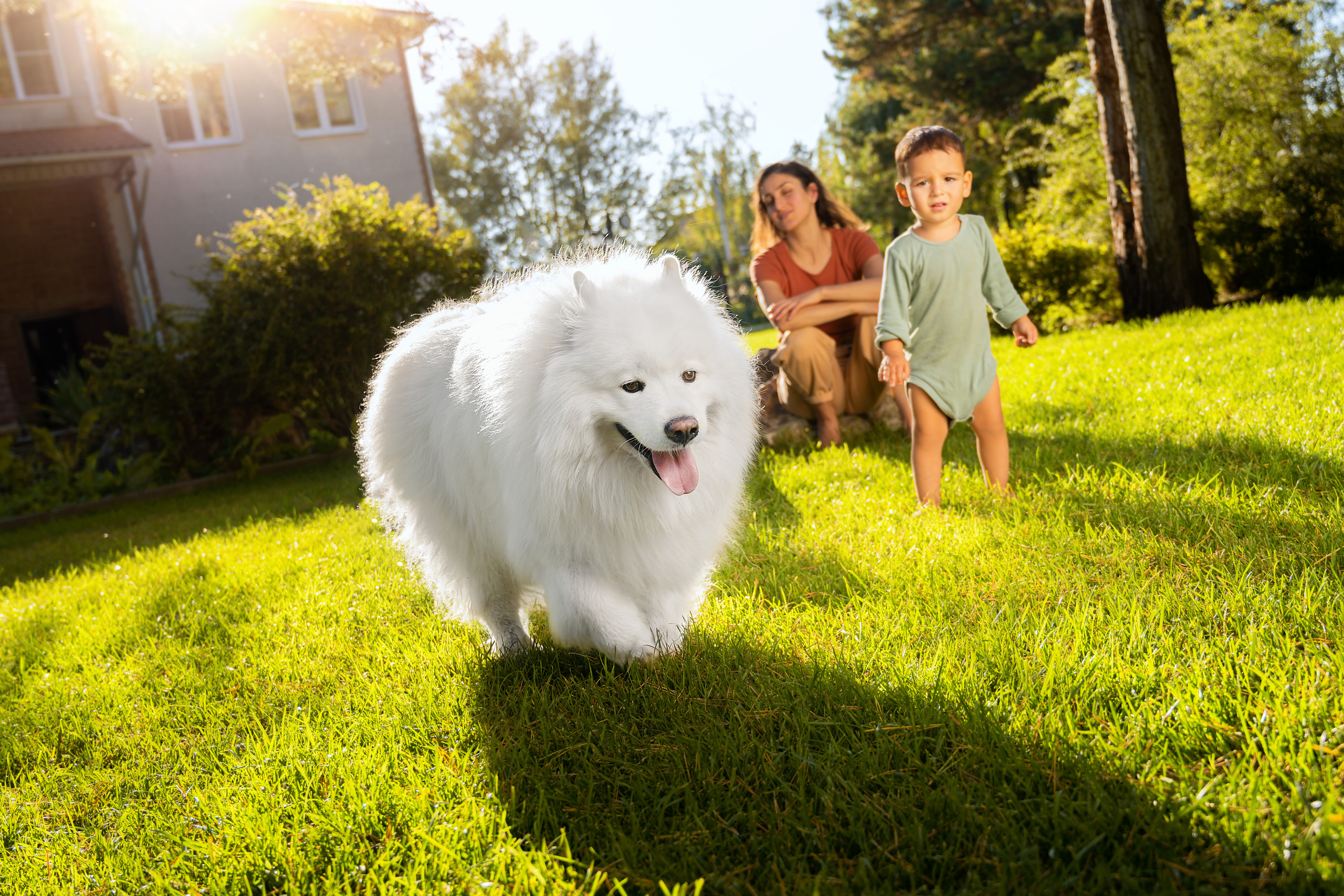 Семейная съёмка на природе с собакой