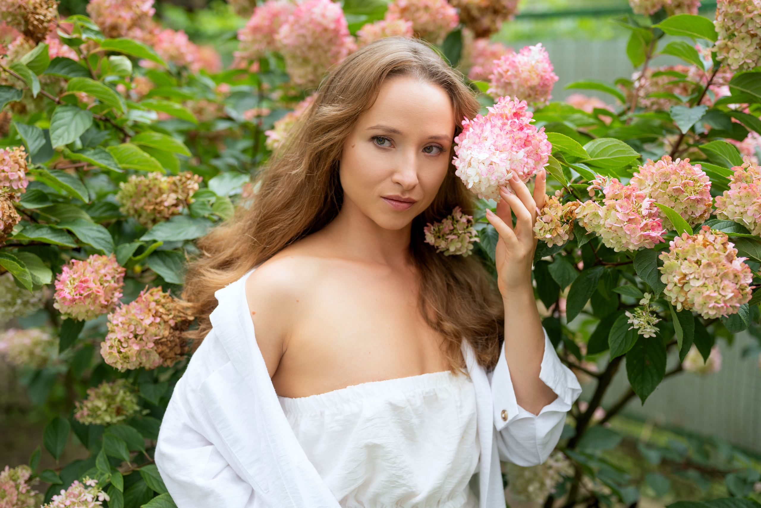 Фотосъёмка в саду среди гортензии