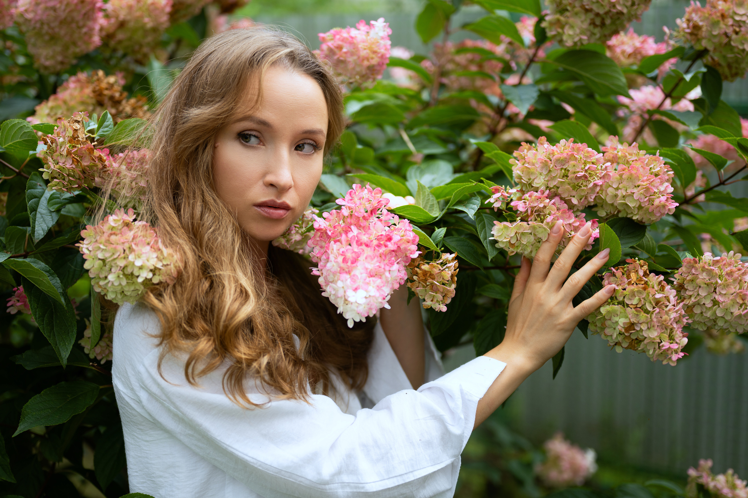 Фотосъёмка в саду среди гортензии