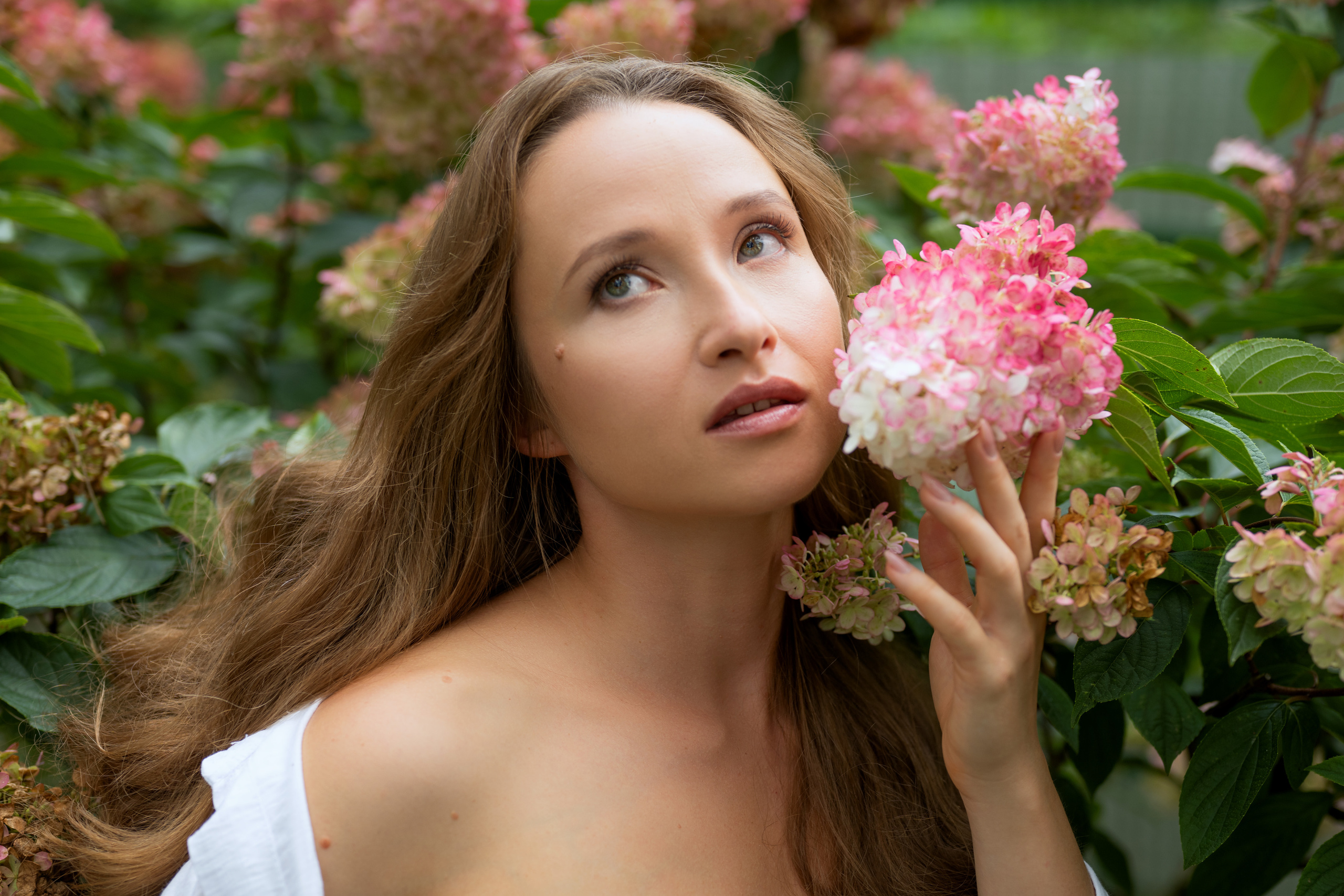 Фотосъёмка в саду среди гортензии