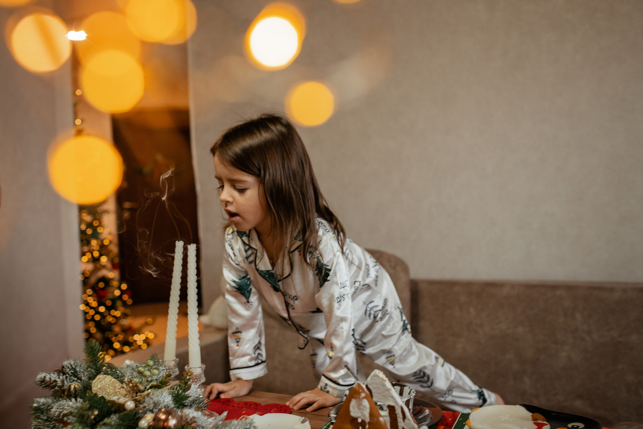 Домашняя новогодняя. Галина Чекунова Фотограф в Ростове-на-Дону