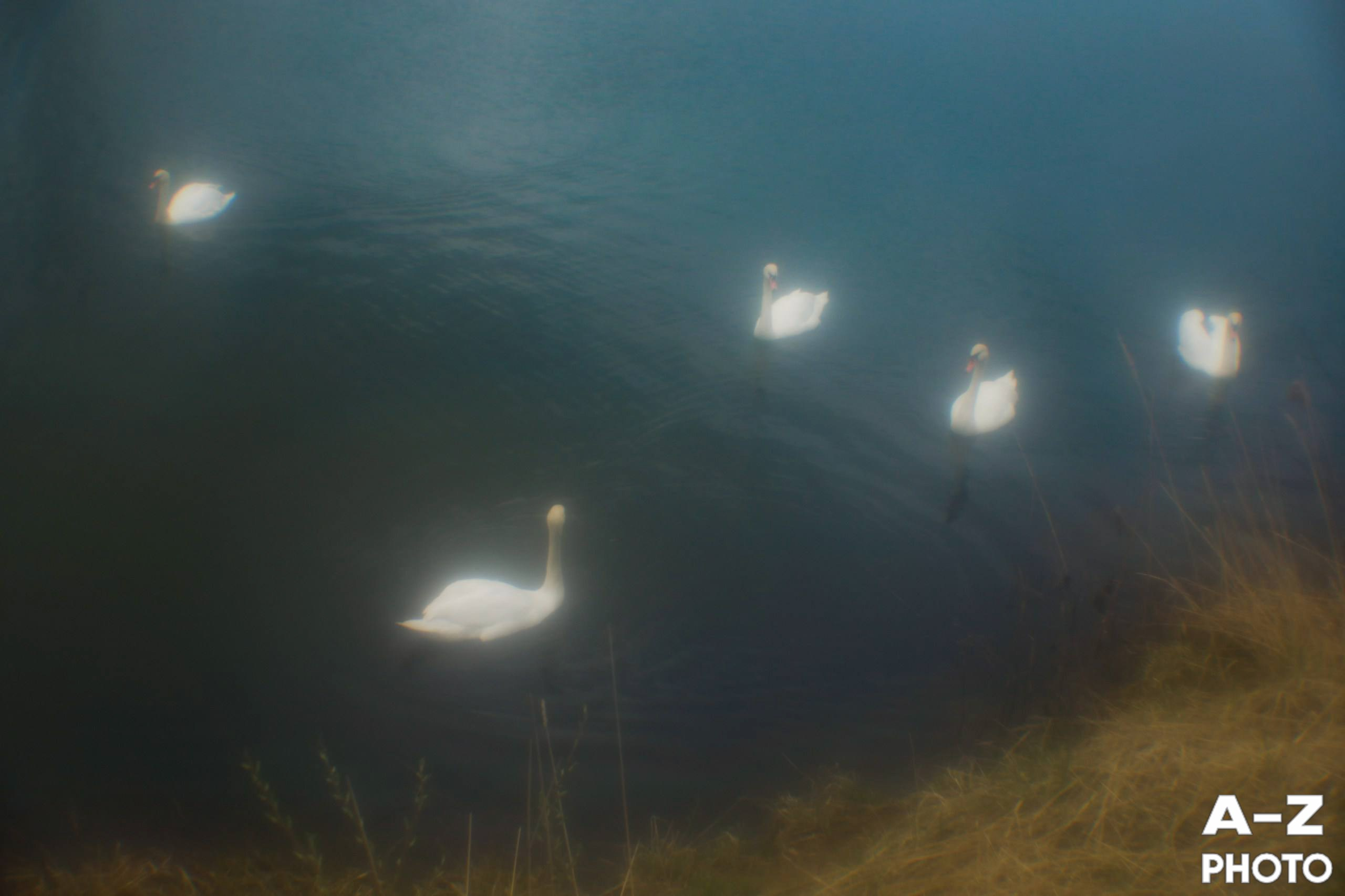 #ФОТОНЕДЕЛИ 13.04.2026. Женский семейный фотограф Тула Москва Захарова Анна