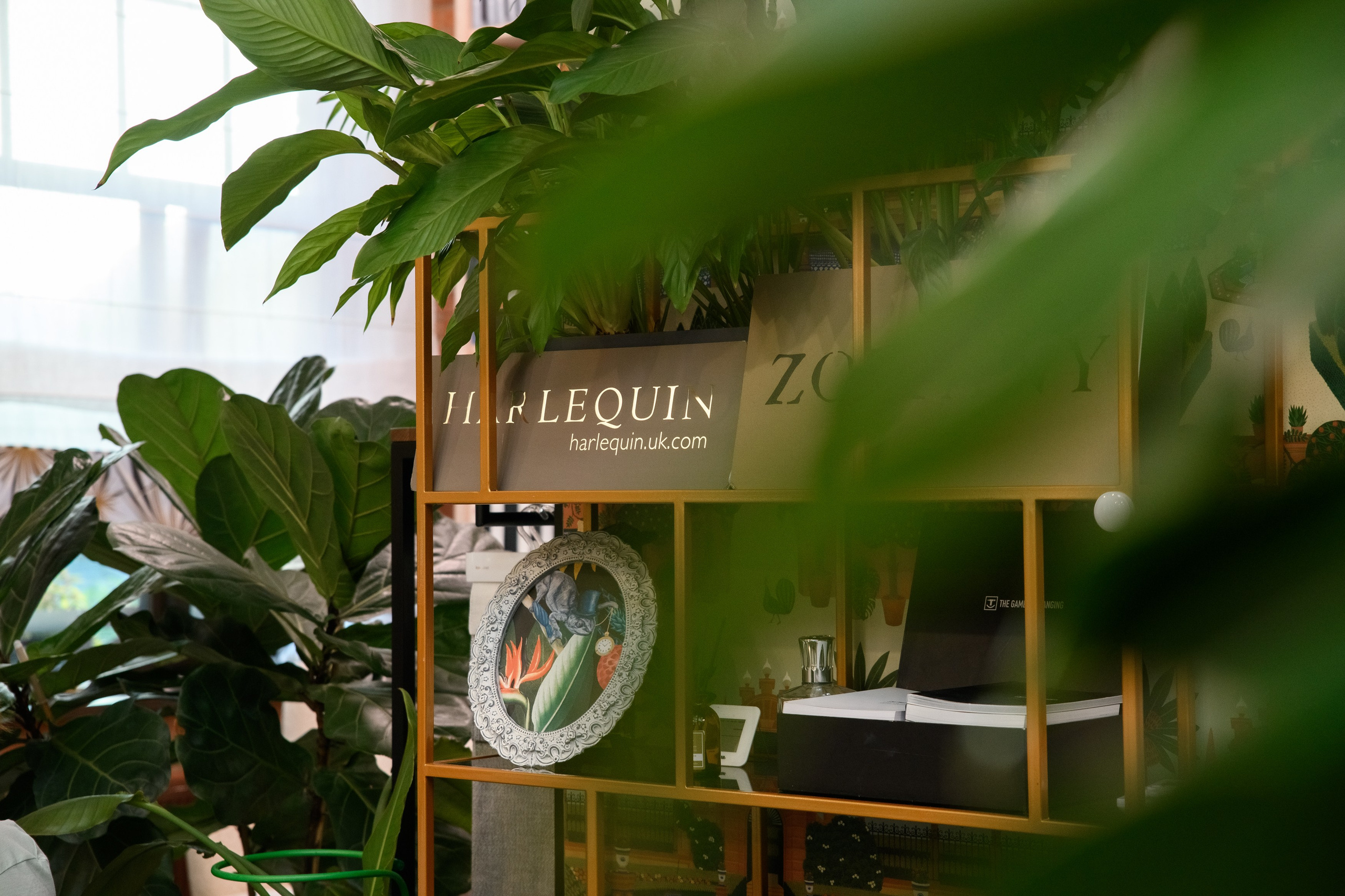 Artique. Женский фотограф в Санкт-Петербурге Степлевич Дарья