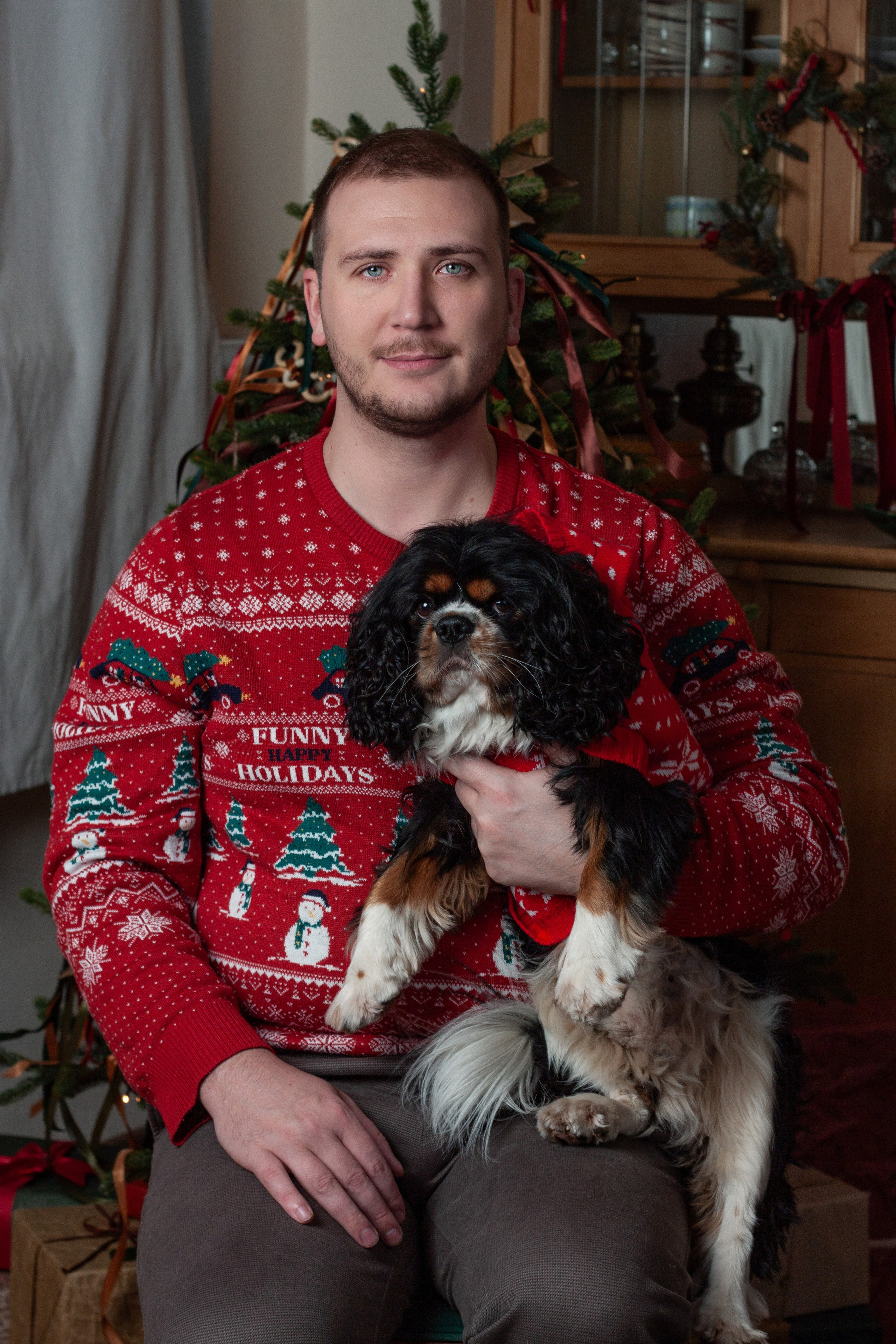 Новогодние собаки. Фотограф в Санкт-Петербурге Рейдер Дарья