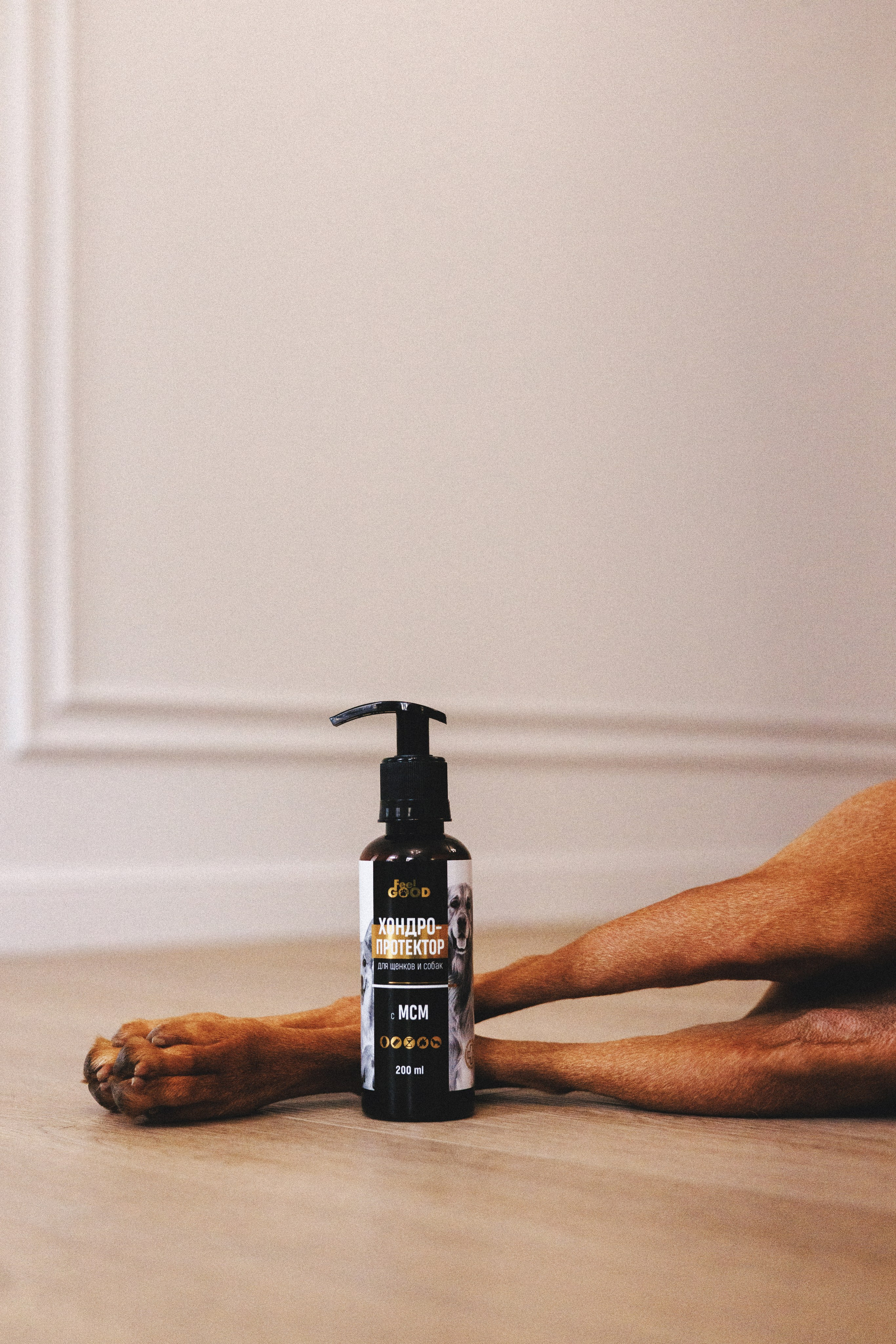 Товары для питомцев M-Pets & Petbiology. Фотограф анималист Осипчикова Мария