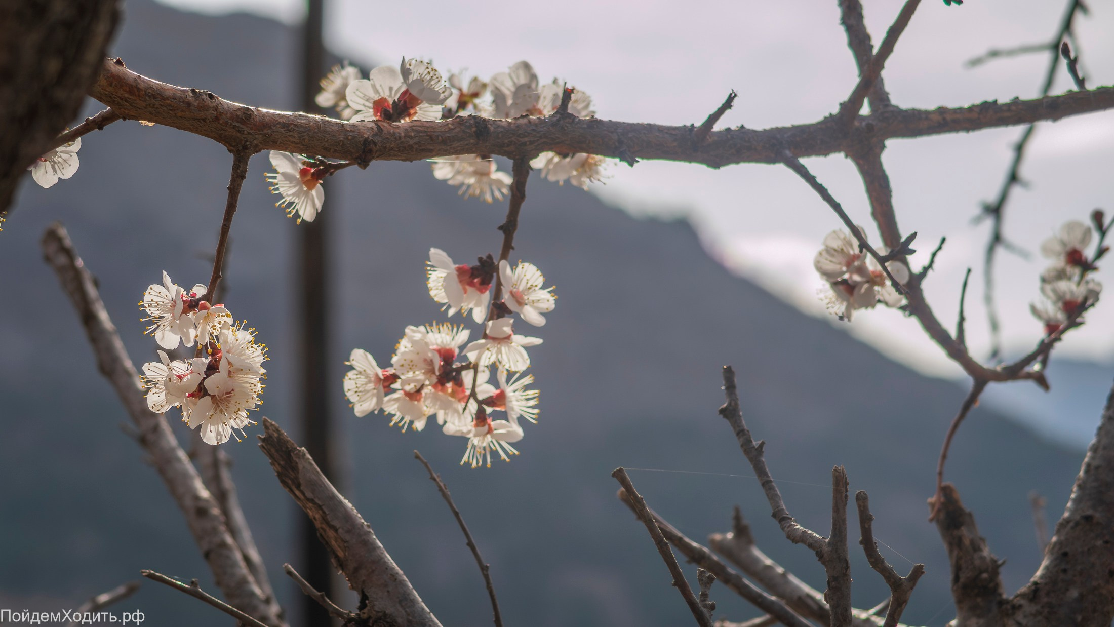 Nordic Walkers в Дагестане. Фото из походов и путешествий клуба скандинавской ходьбы Пойдем Ходить