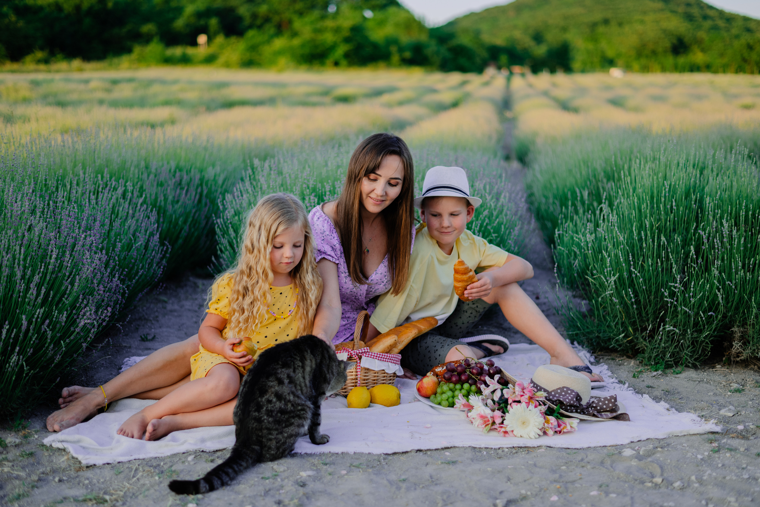 Большая семья в лаванде. Фотограф Нижневартовск. Фотограф в Нижневартовске Анна Стрельцова