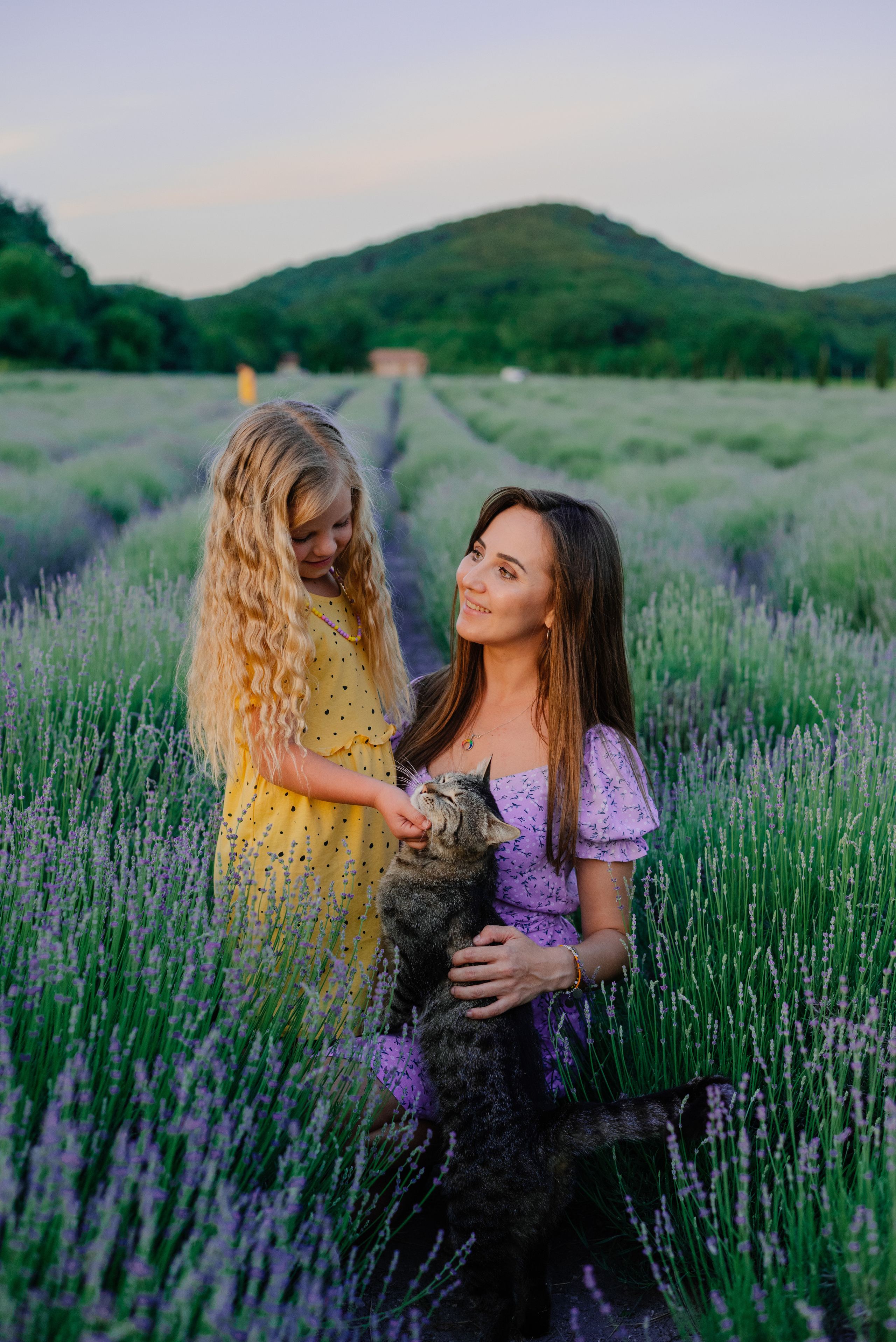 Большая семья в лаванде. Фотограф Нижневартовск. Фотограф в Нижневартовске Анна Стрельцова