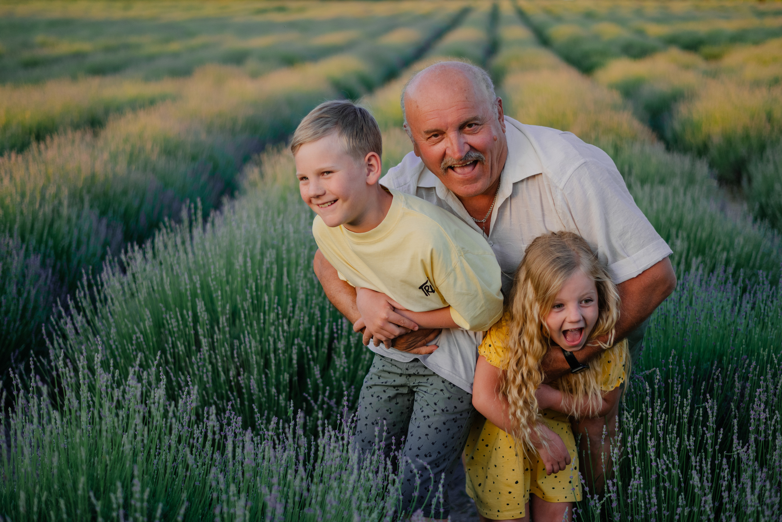 Большая семья в лаванде. Фотограф Нижневартовск. Фотограф в Нижневартовске Анна Стрельцова