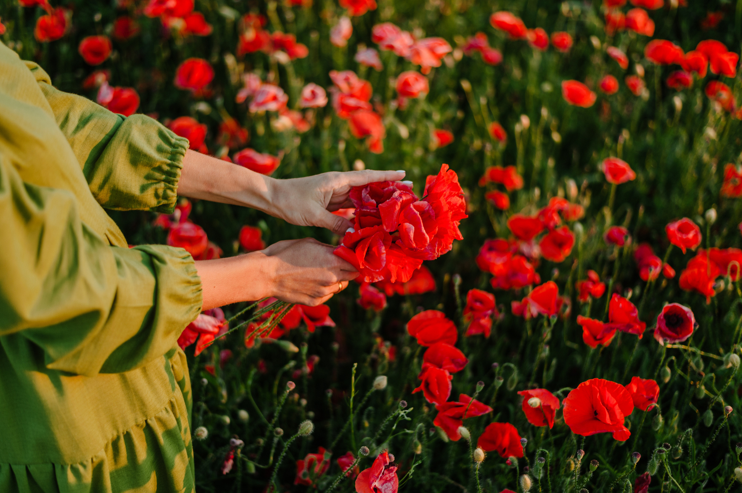 Love story в маках. Фотограф Нижневартовск. Фотограф в Нижневартовске Анна Стрельцова