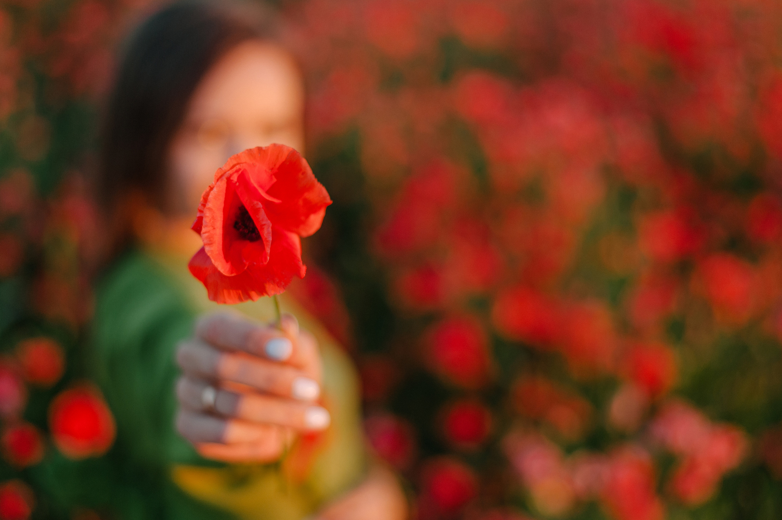 Love story в маках. Фотограф Нижневартовск. Фотограф в Нижневартовске Анна Стрельцова