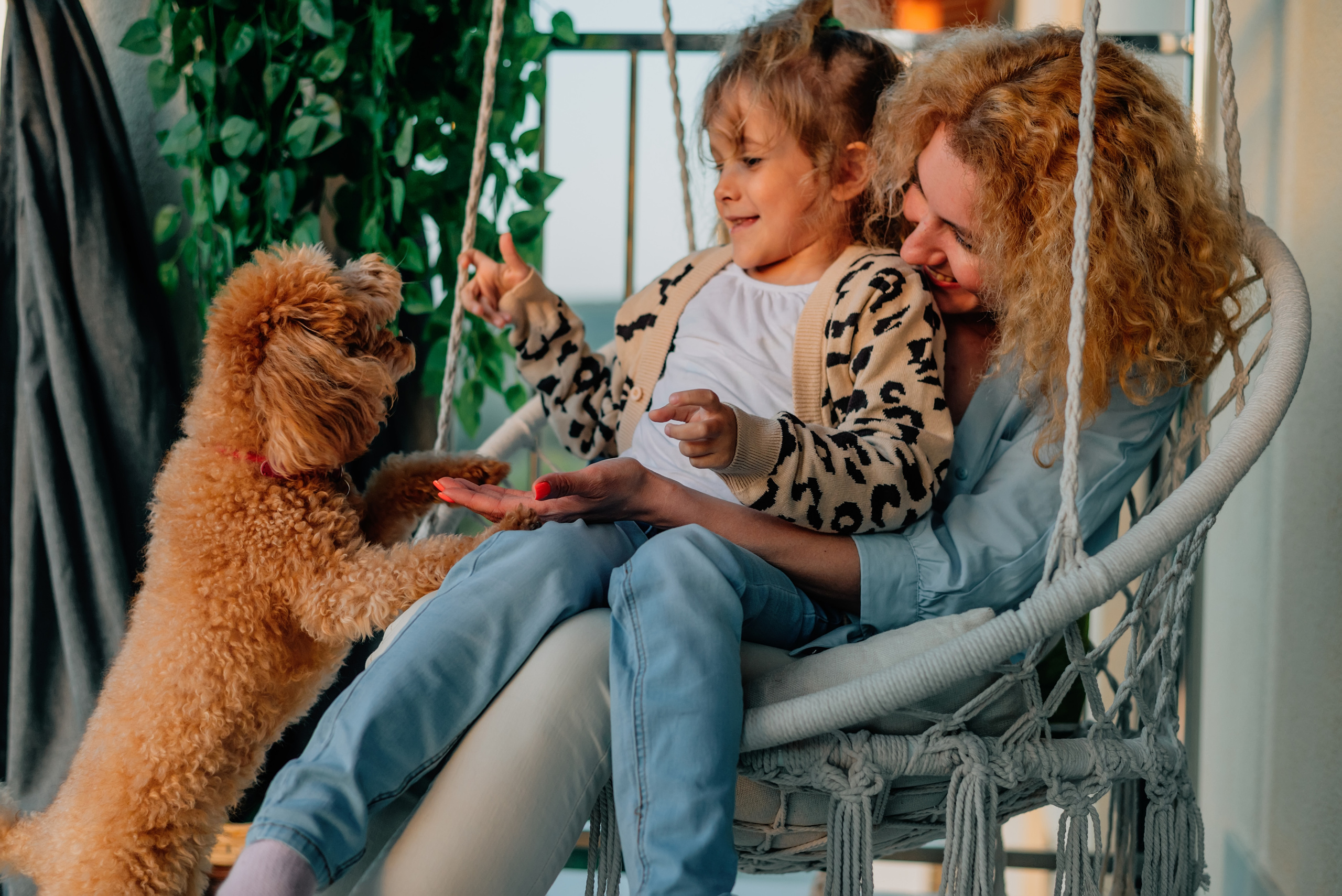 Семейная съемка дома с животными. Фотограф Нижневартовск. Фотограф в Нижневартовске Анна Стрельцова