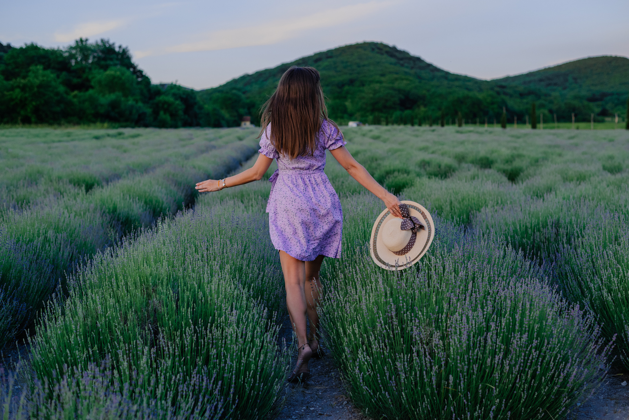 Большая семья в лаванде. Фотограф Нижневартовск. Фотограф в Нижневартовске Анна Стрельцова