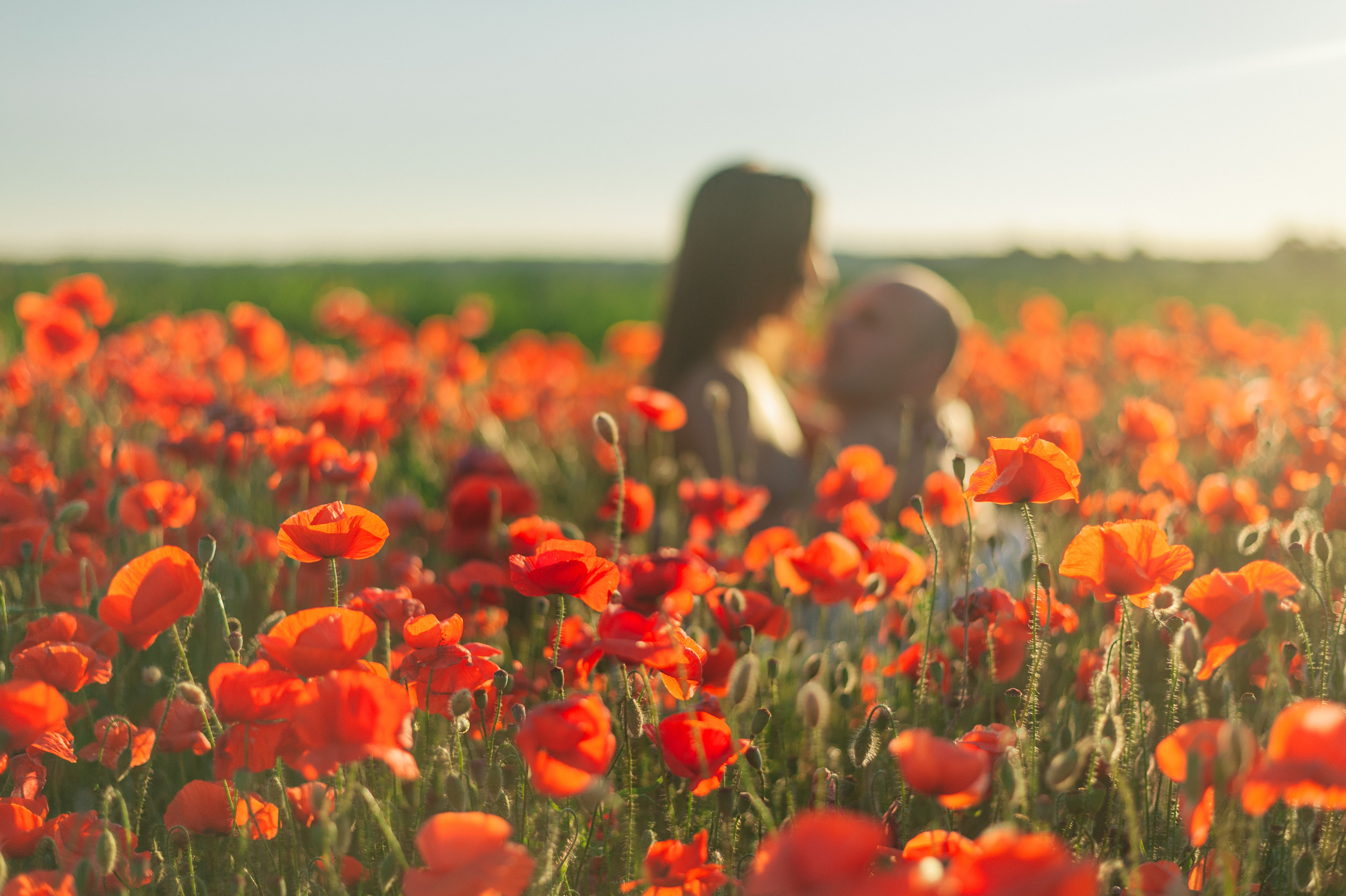 Love story в маках. Фотограф Нижневартовск. Фотограф в Нижневартовске Анна Стрельцова