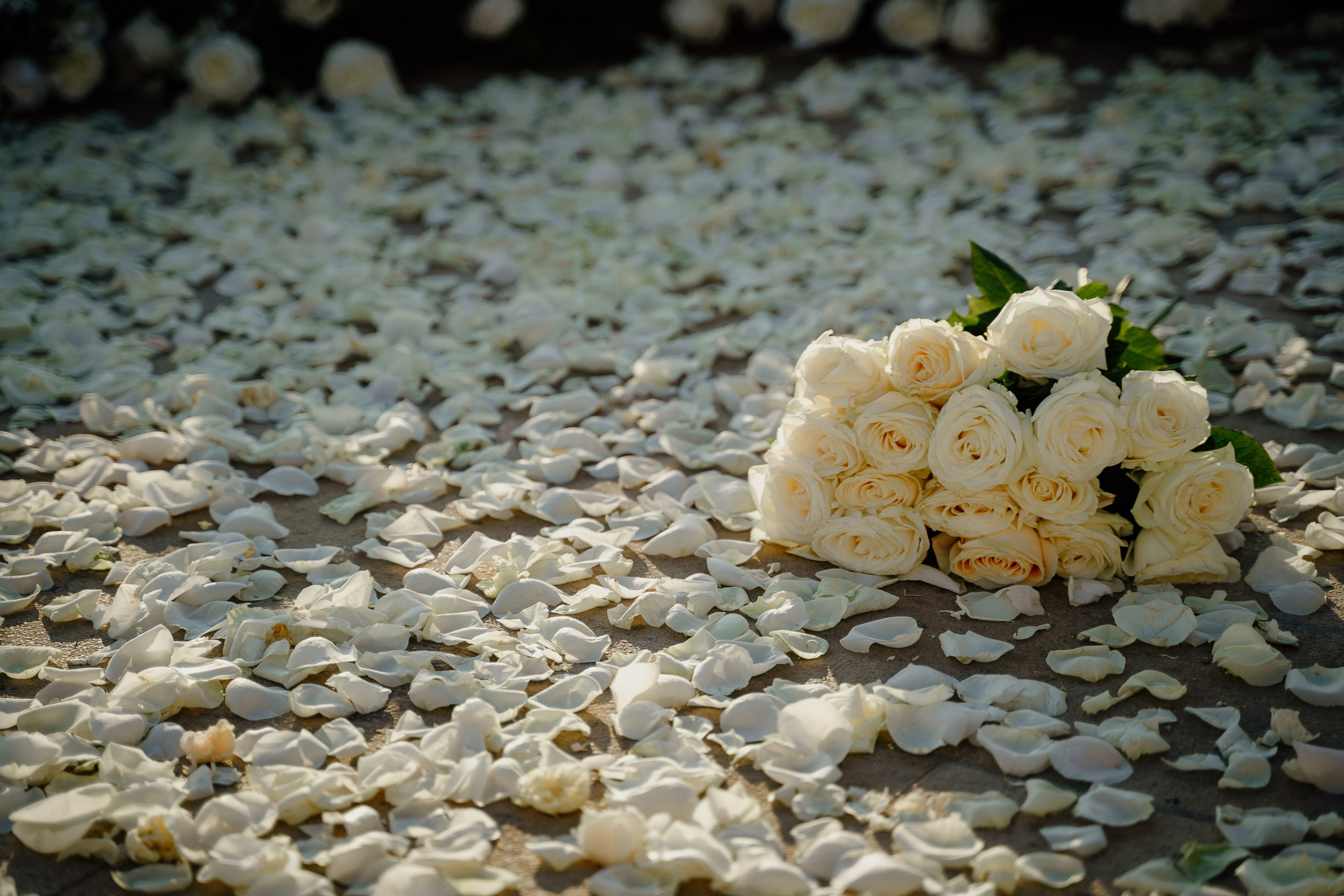 Capture Your Love Story in Montenegro. Photographer in Montenegro | Фотограф в Черногории