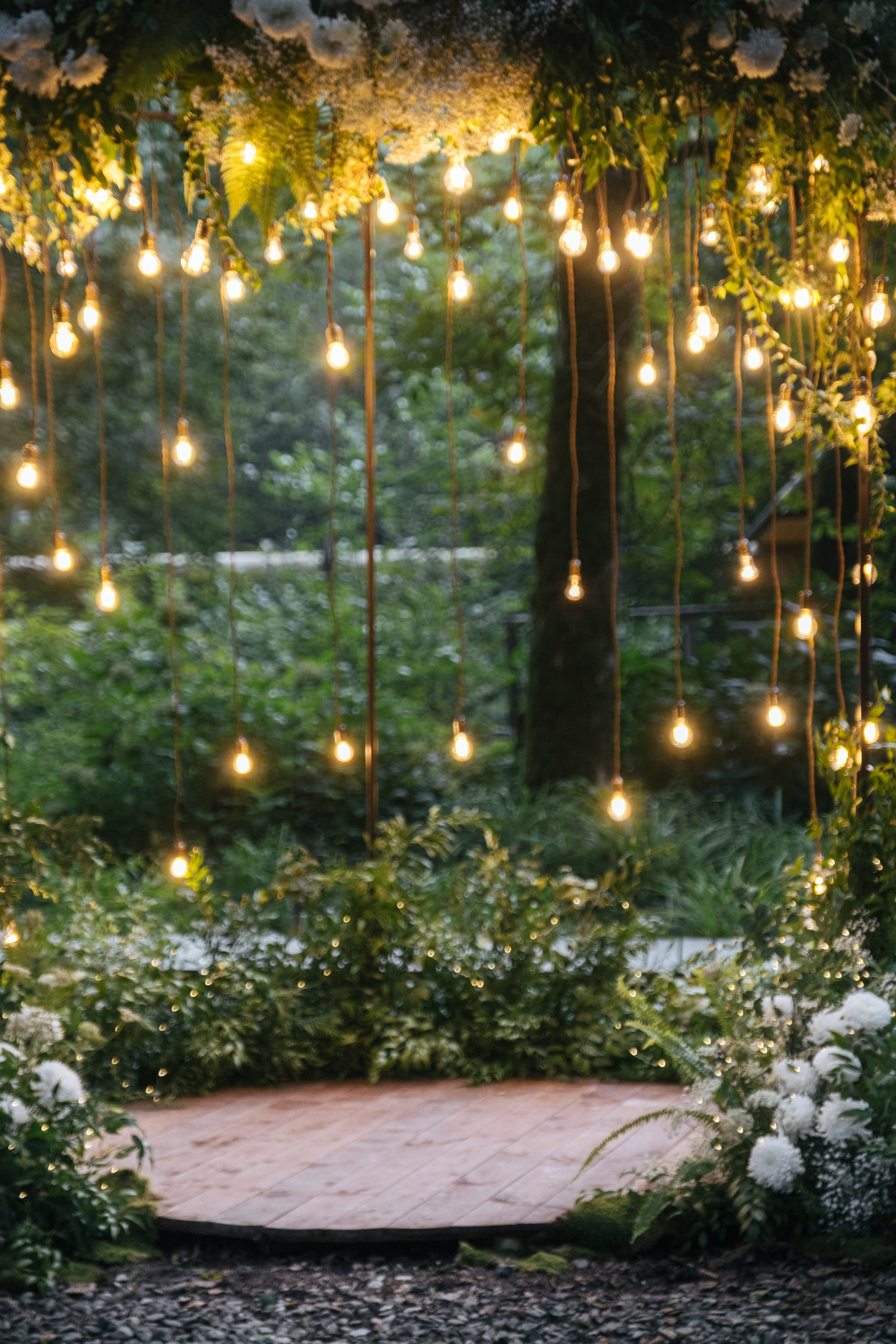 Кот и Дракон. Свадебный Видеограф Фотограф в Сочи