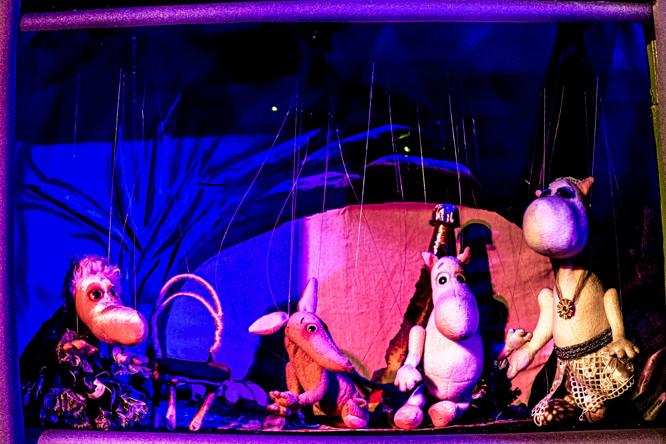 «Муми тролли и большое наводнение». Фотограф в Сочи Юрий Шептаев