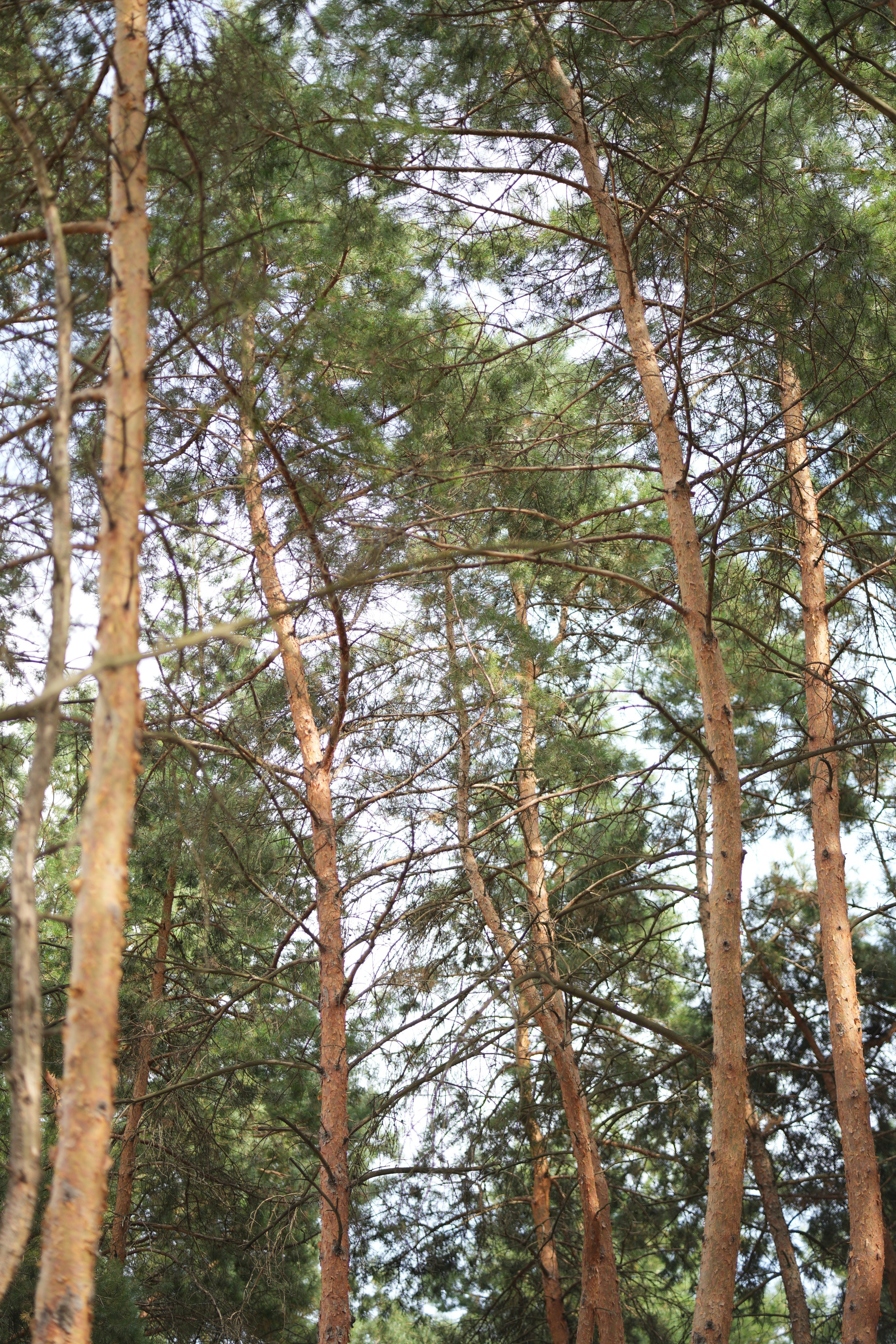 Час 2500 р. пример фото-пакета «ФОТО НА ПАМЯТЬ» (без обработки). Фотограф Нижний Новгород Татьяна Кэйод