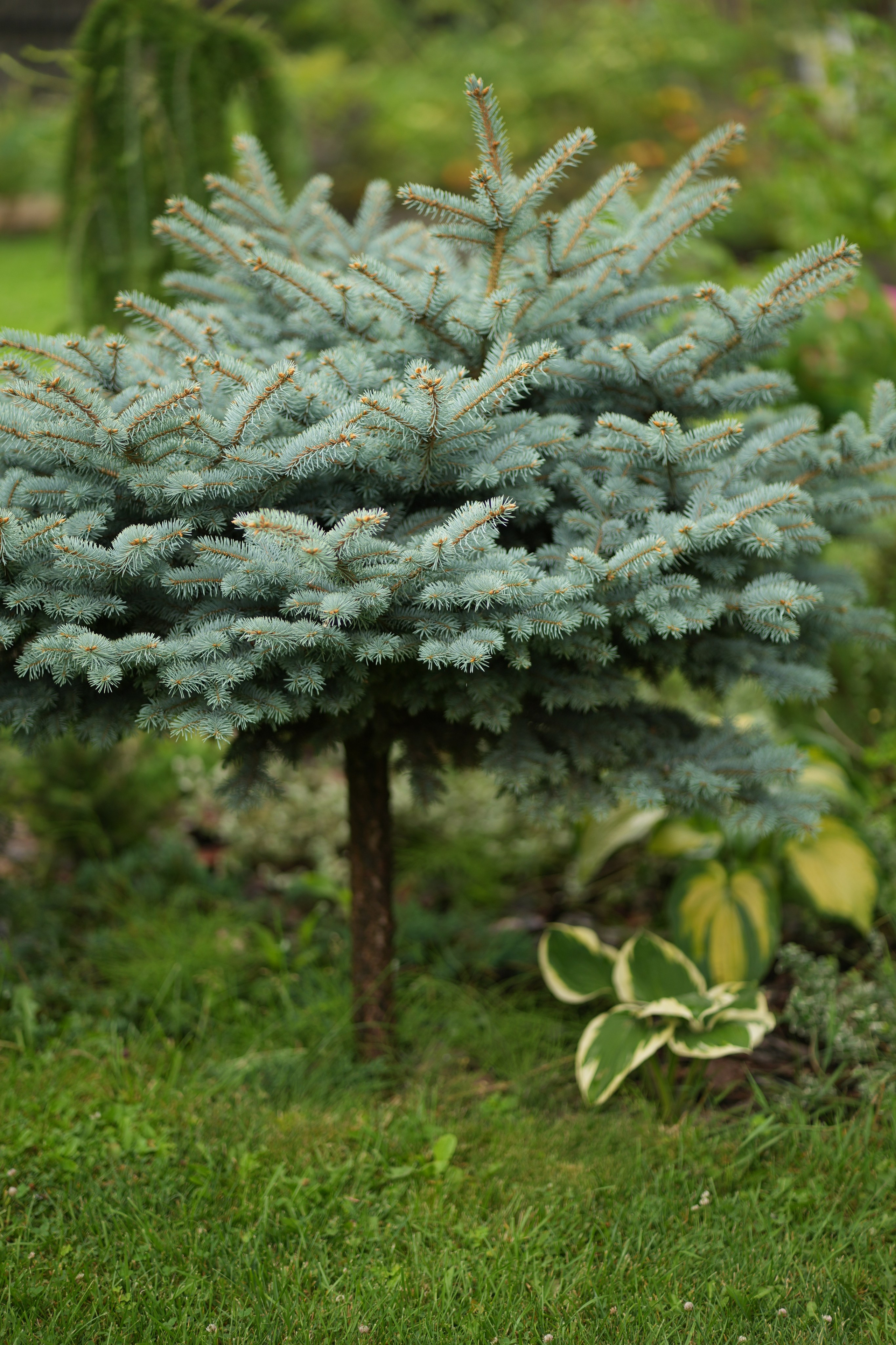 Час 1500 пример фотосессии пакет «ФОТО НА ПАМЯТЬ» (без обработки). Фотограф Нижний Новгород Татьяна Кэйод