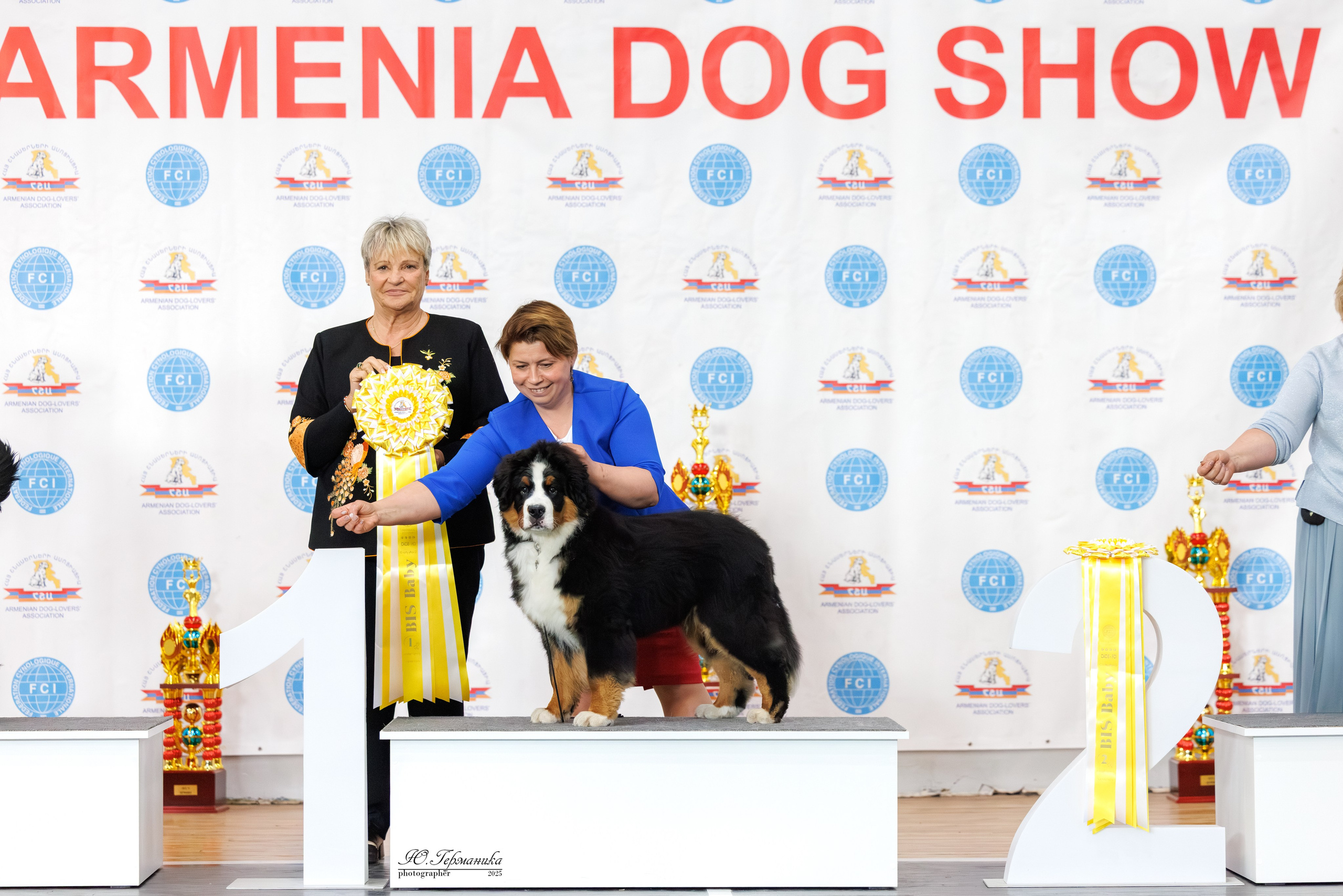 Ереван 2х CACIB 29-30.04.2025. Фотограф-анималист Юлия Германика