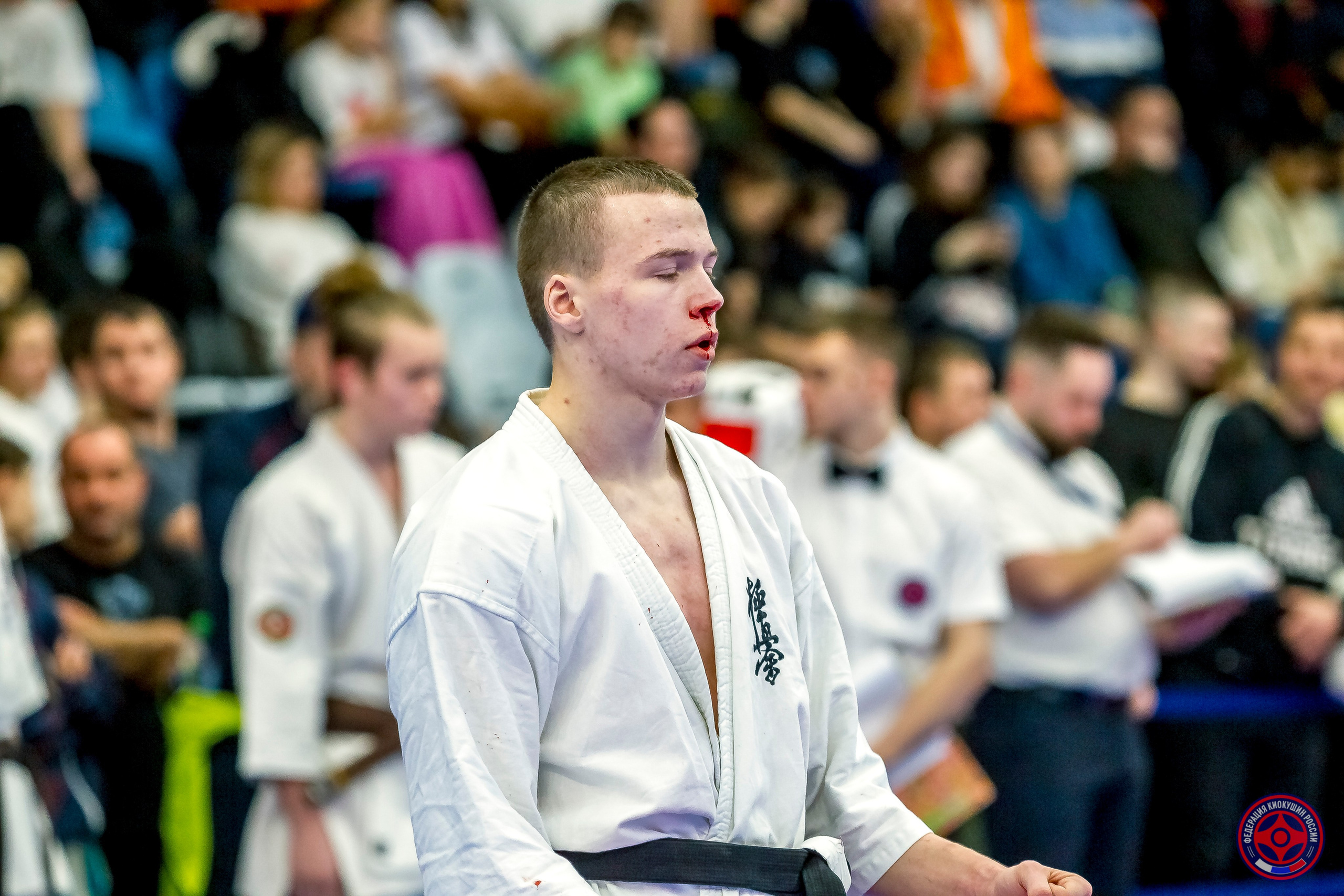 Международный турнир по киокушин «Открытый кубок Seiken». Репортажная съемка в Москве и области. Анималистика