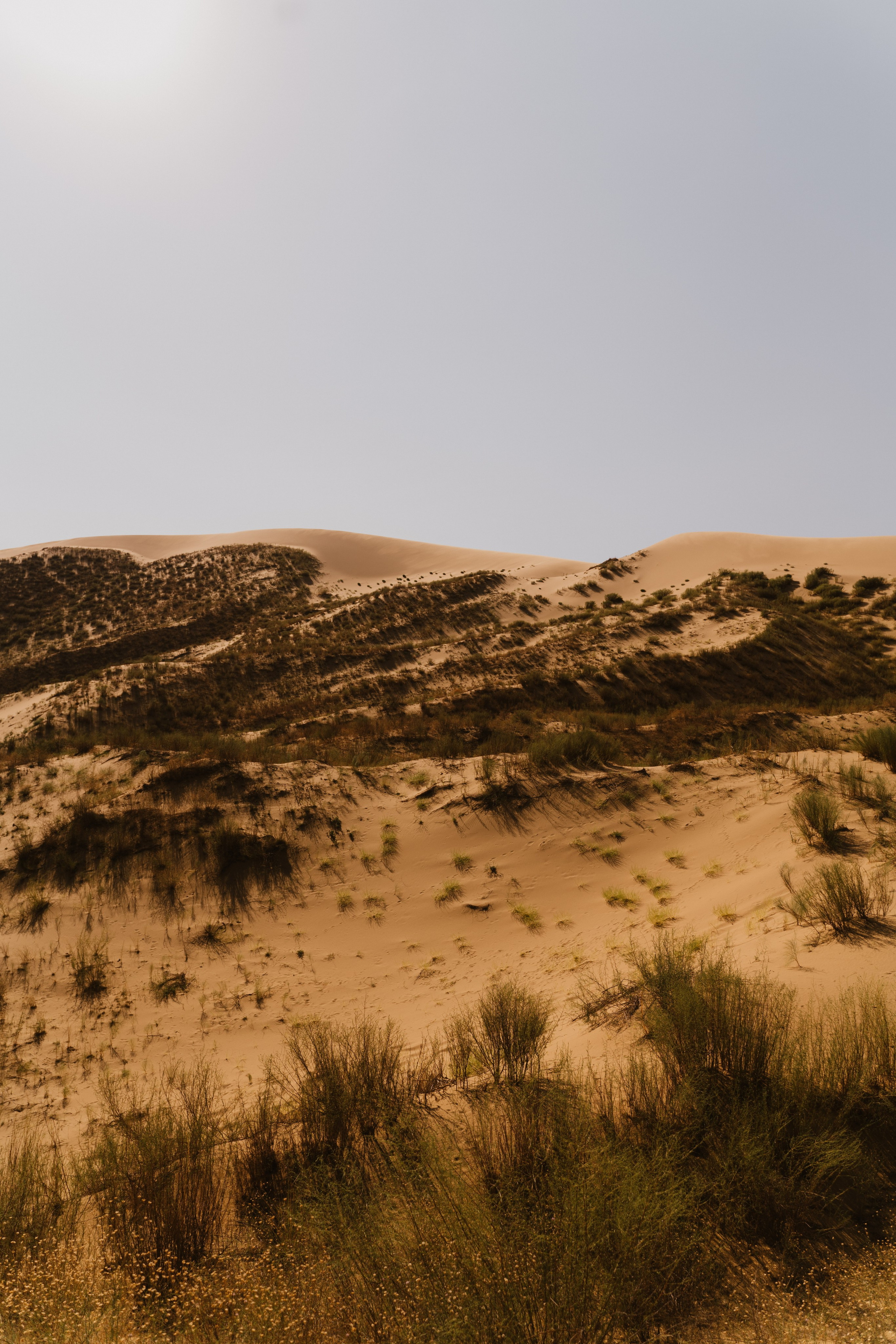 Пейзаж. Фотограф Кантемир Бараов