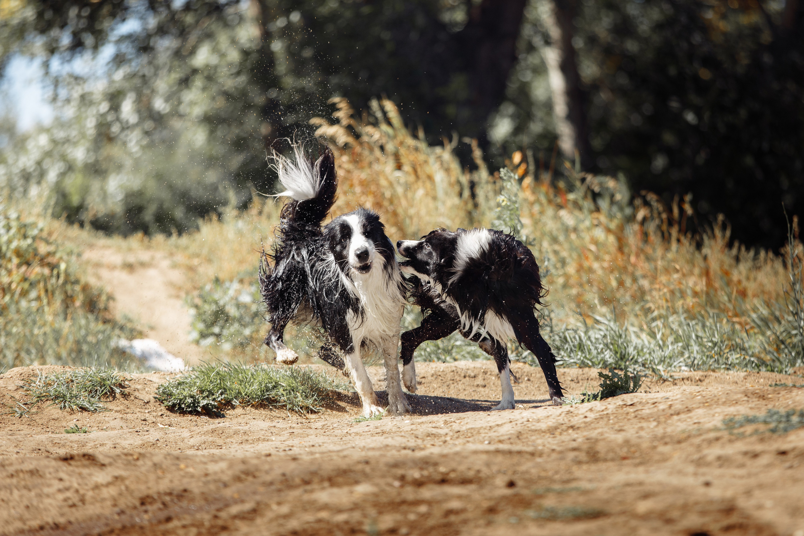 Водяные в Новотроицке. О нас