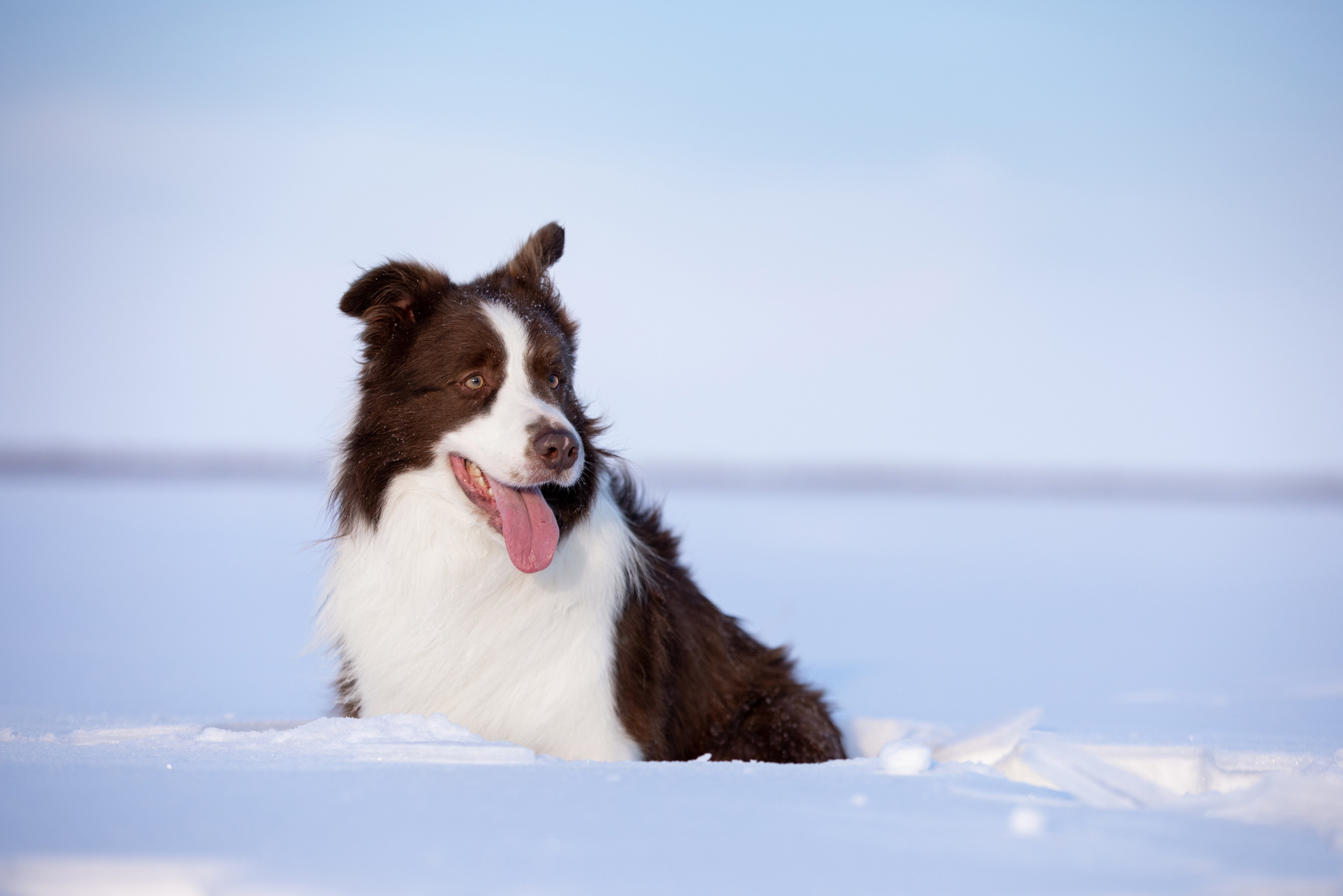 Мороз и солнце. О нас