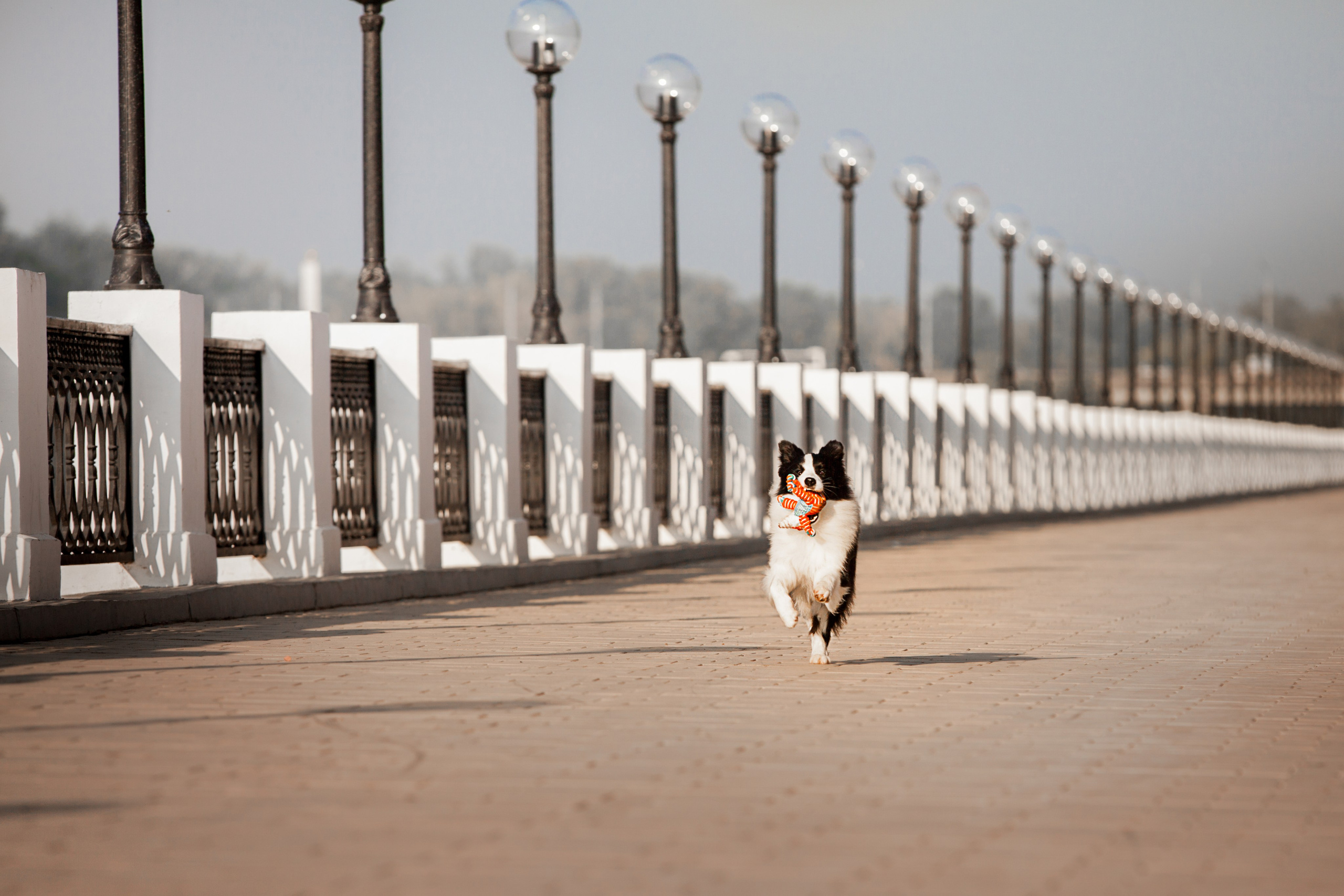 Сочный рассвет, на который решились. О нас